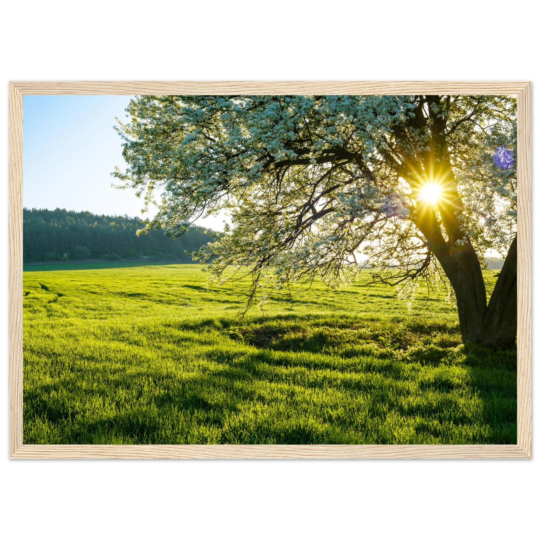 9f3632a3-b8d8-40b3-a5ad-ee840dce0ca4