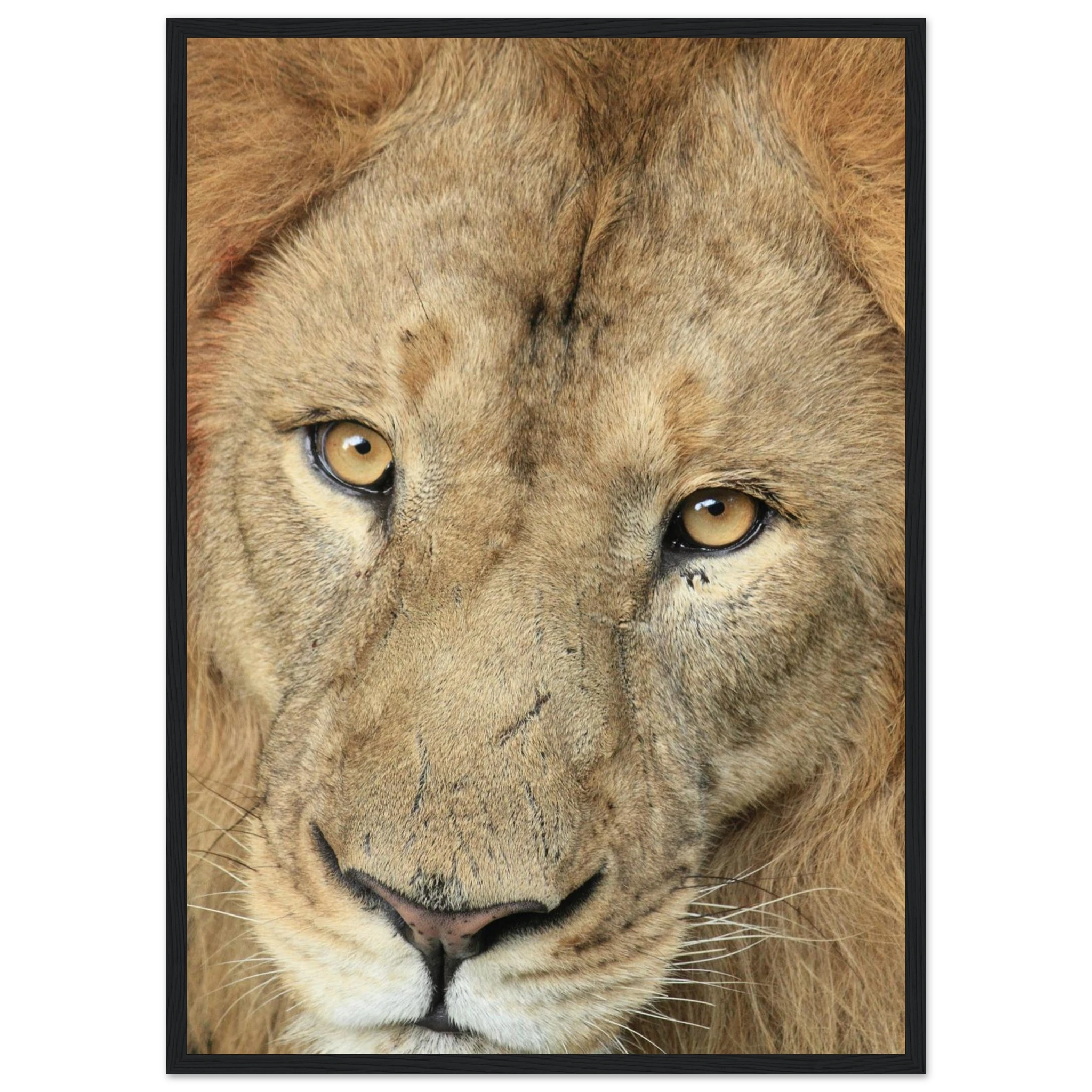 9f42c893-bf0b-4642-9805-fdf63c12612d