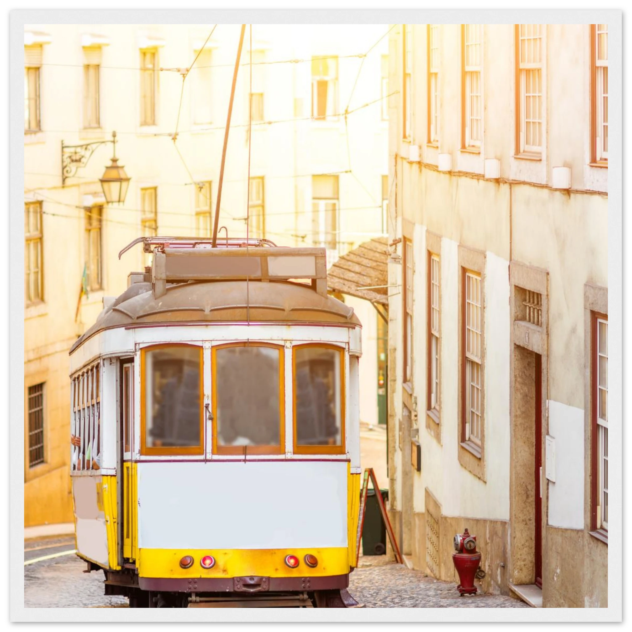 9f58a303-a881-425f-9148-ccb404ee6caf