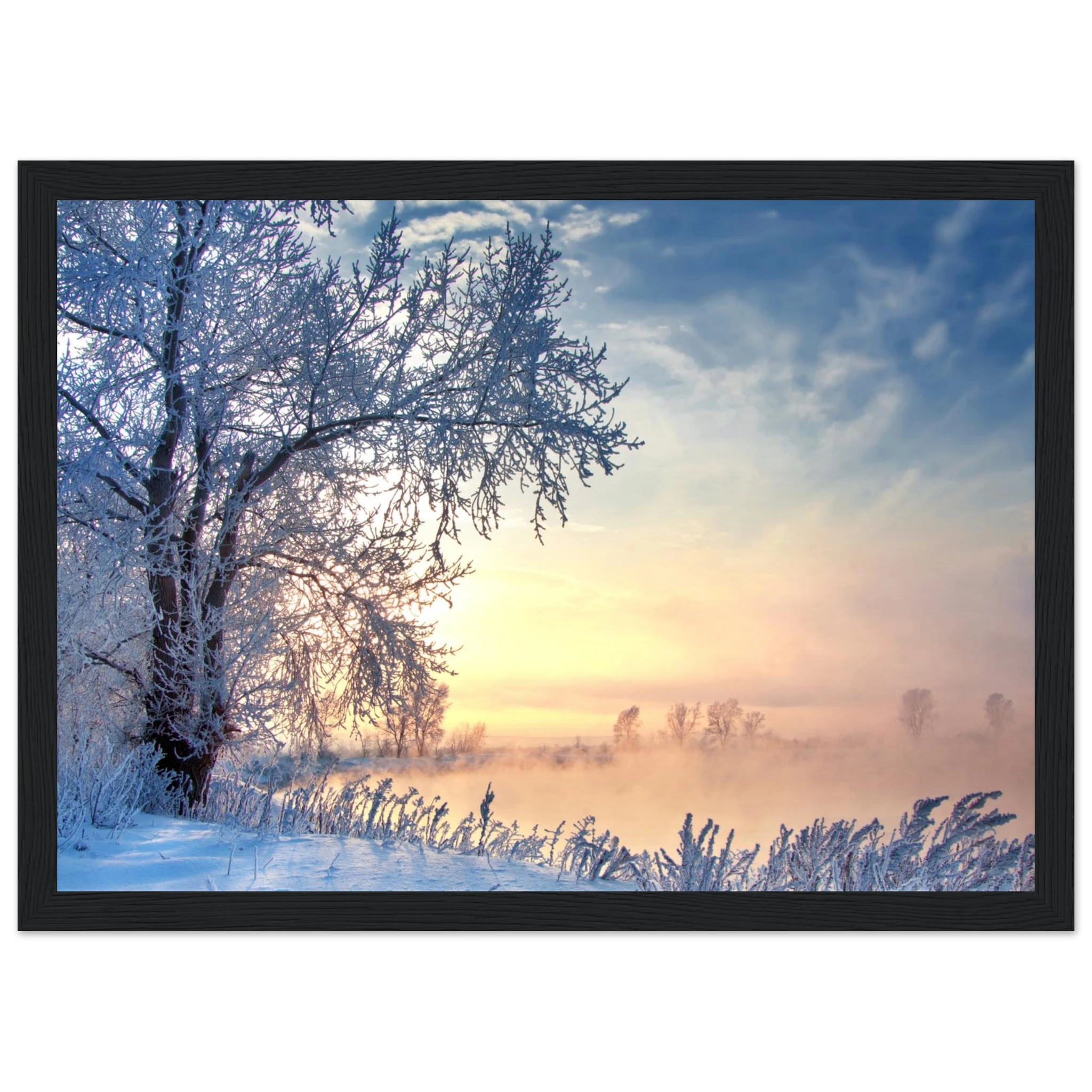 9f6e5a0a-3cd2-4056-a72c-3d2ad7ad6002