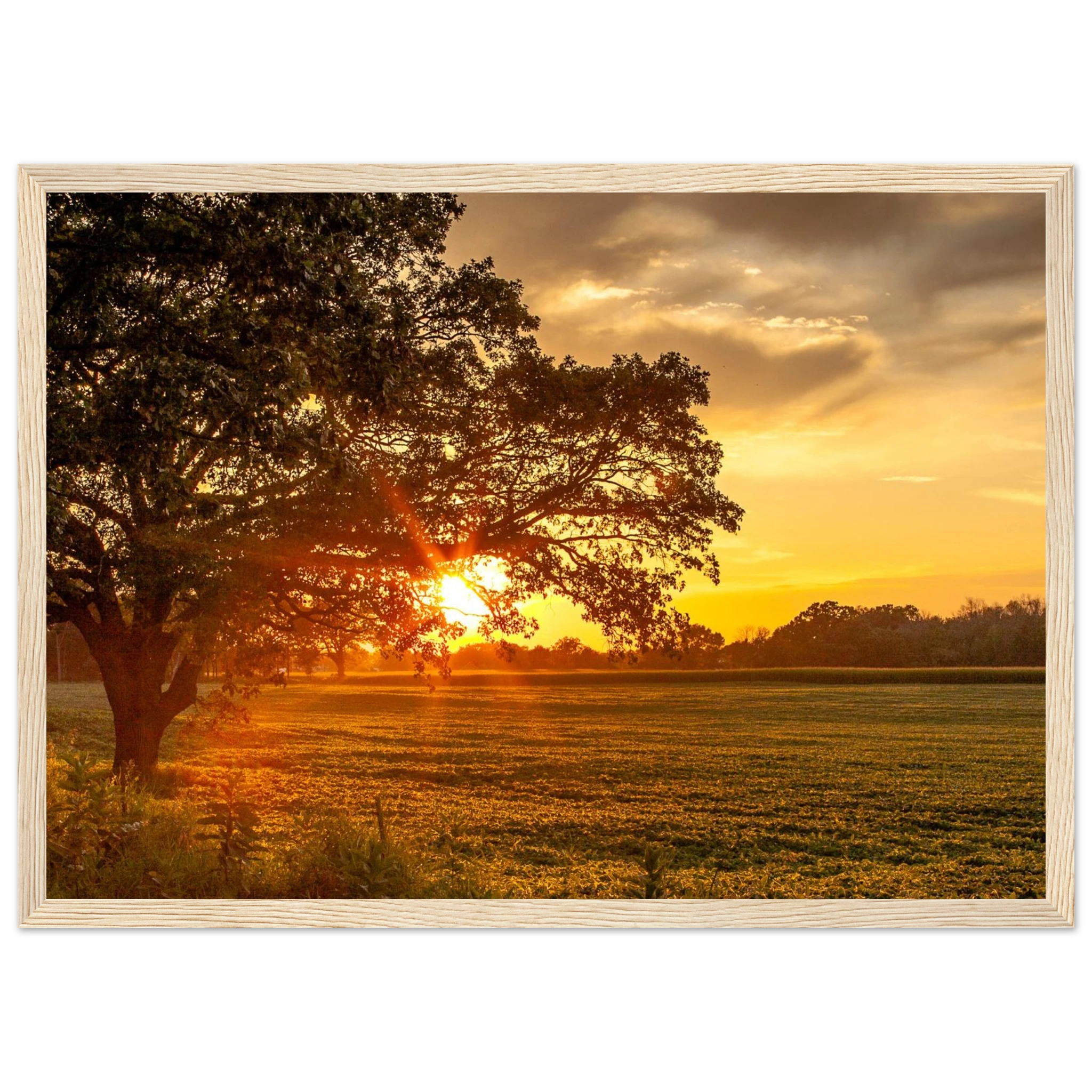 9f9d6f82-fda3-47d1-915d-f7876cf9ae56