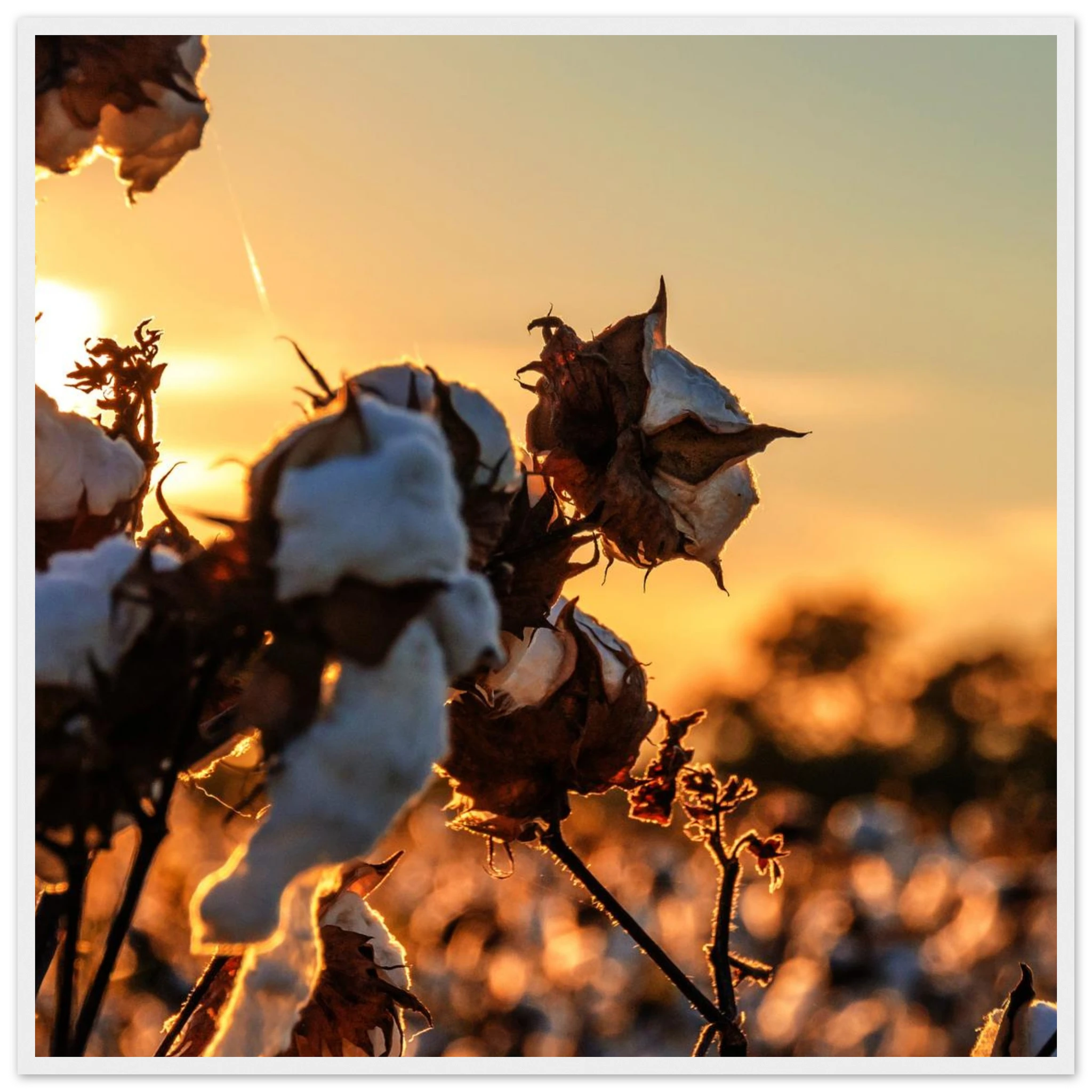 9fb14d57-1046-457b-9d4e-68c722da4f44