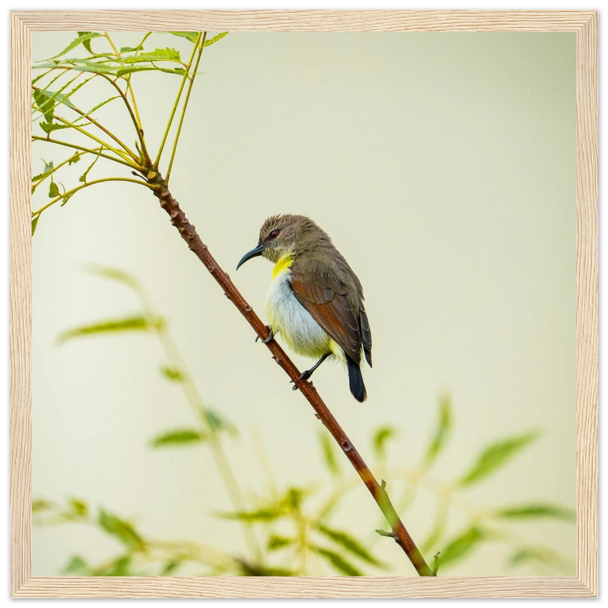 9fc3e859-ec15-47c0-b814-aa49ea72ab50