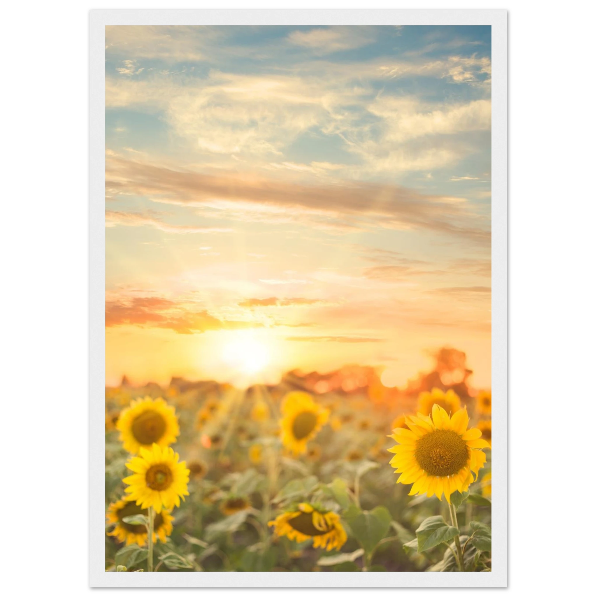 9fc5ef14-2c3d-407a-b03a-0ac03f544910