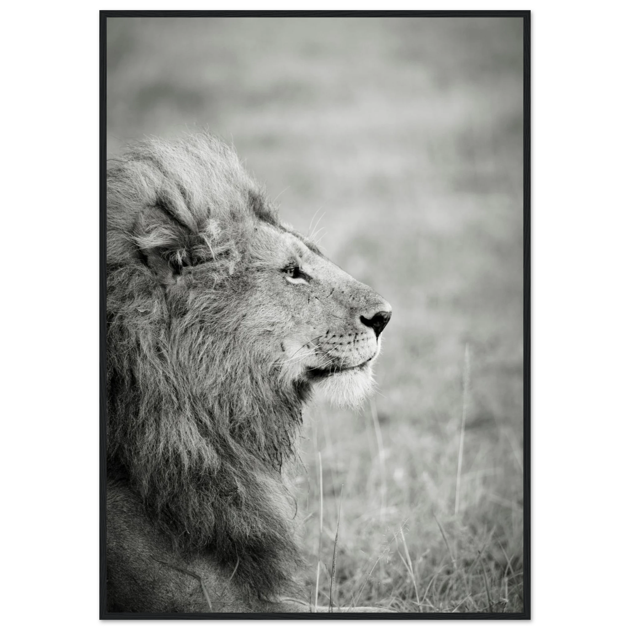 9fc6e6ae-1bd4-4fb6-8334-36bddd26ad94