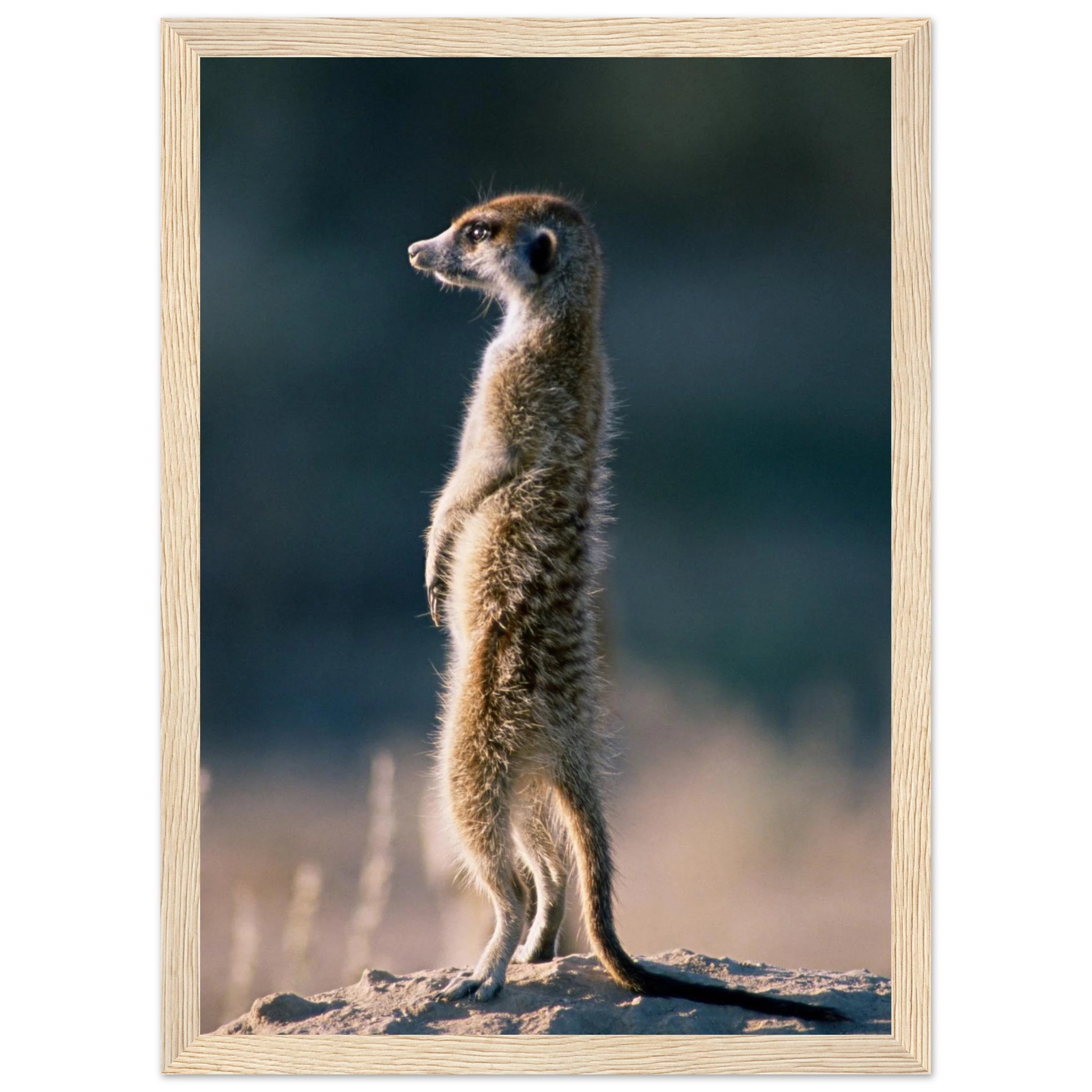 9fcdf7e4-7646-44b6-a69f-a2468582a04a