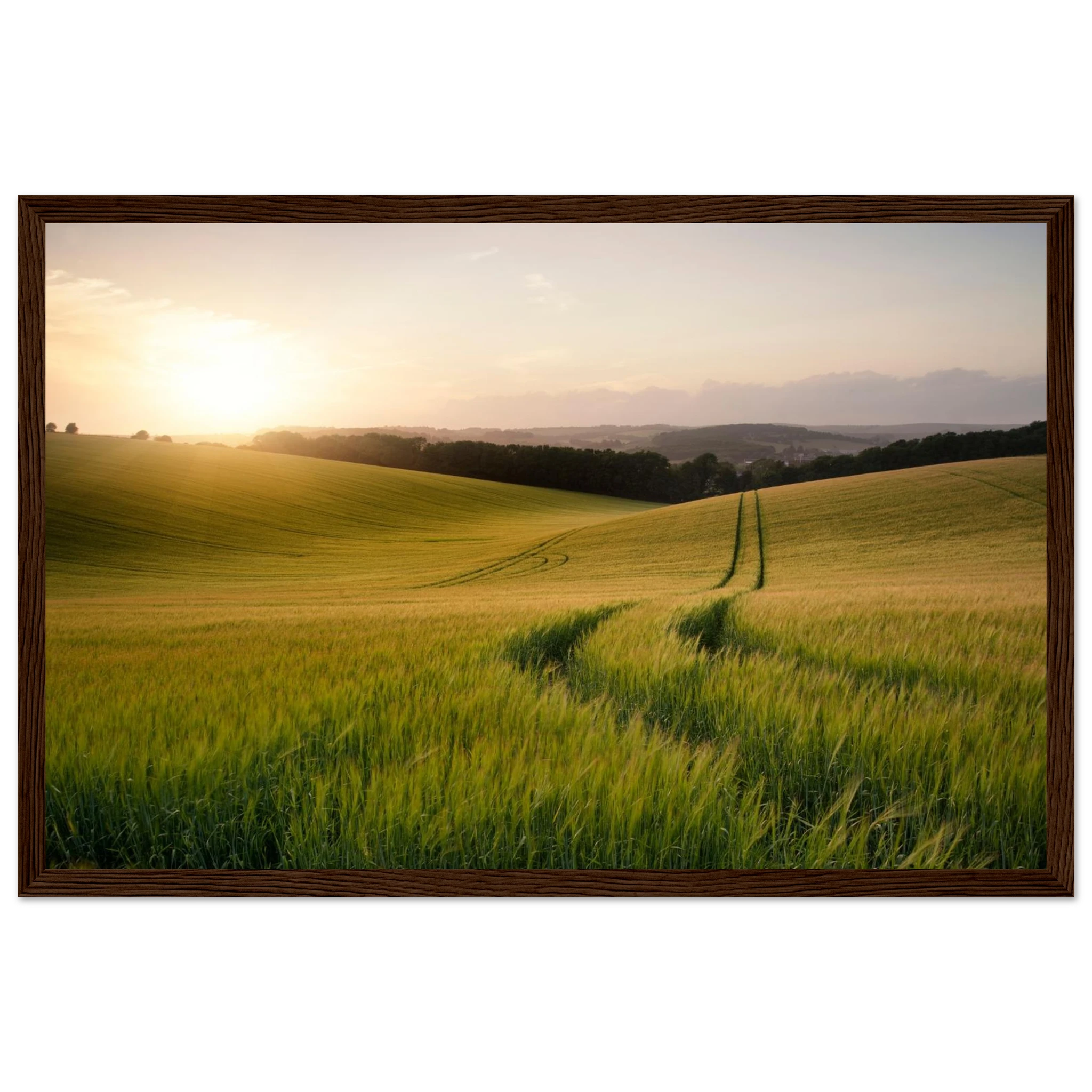 9fd2221e-a0b7-452e-9377-8d00ccfff706