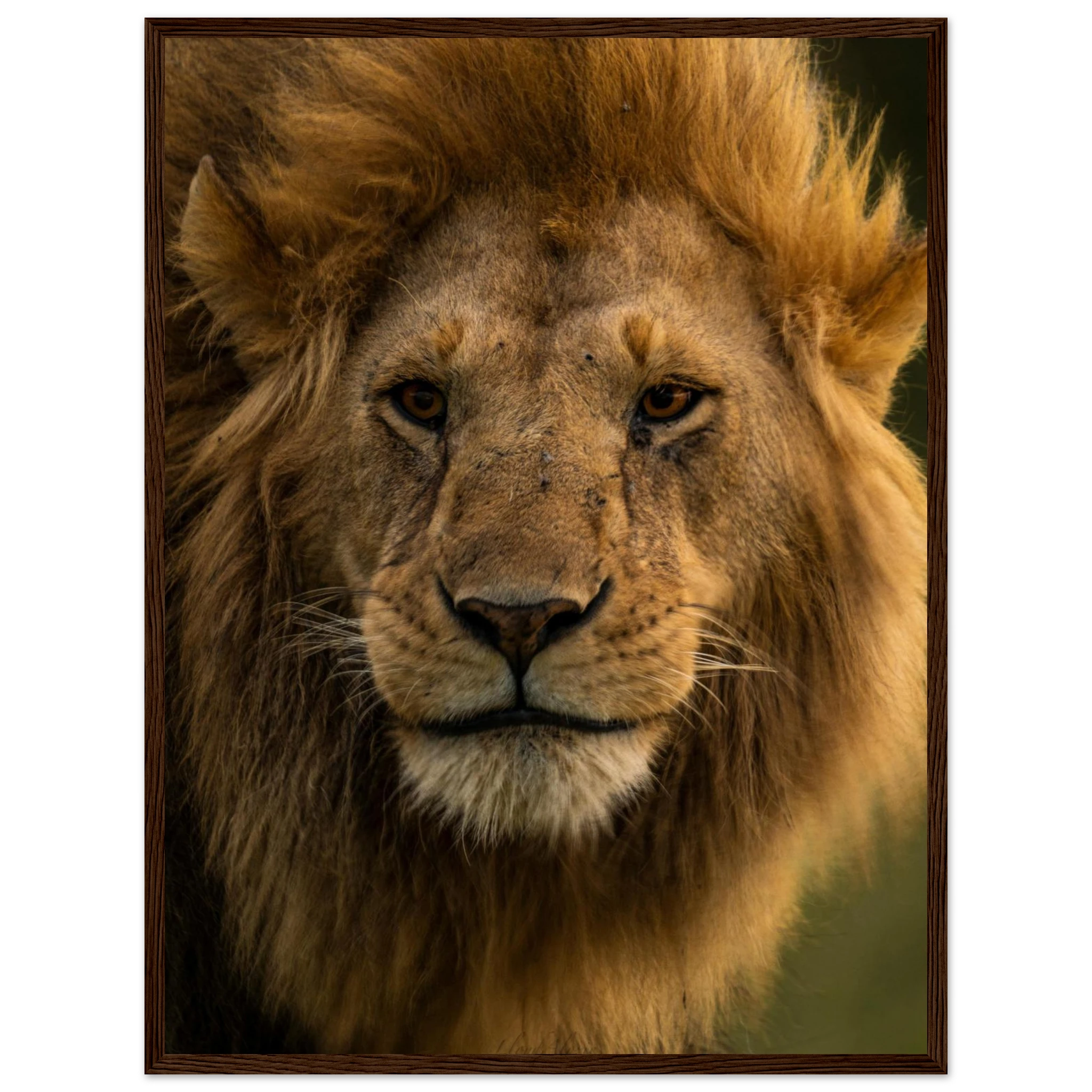 9ff58247-ca04-4ddc-8d53-e274996044f1