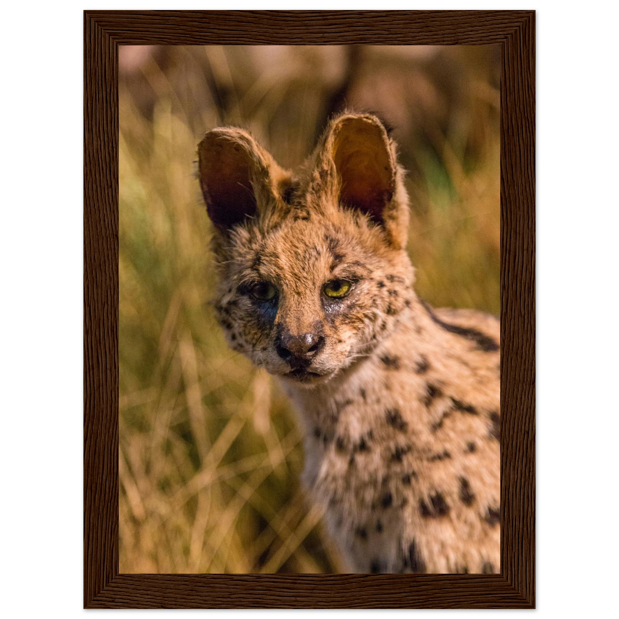 9ffb61b1-e990-46b0-b150-6c1ac2e34dcc