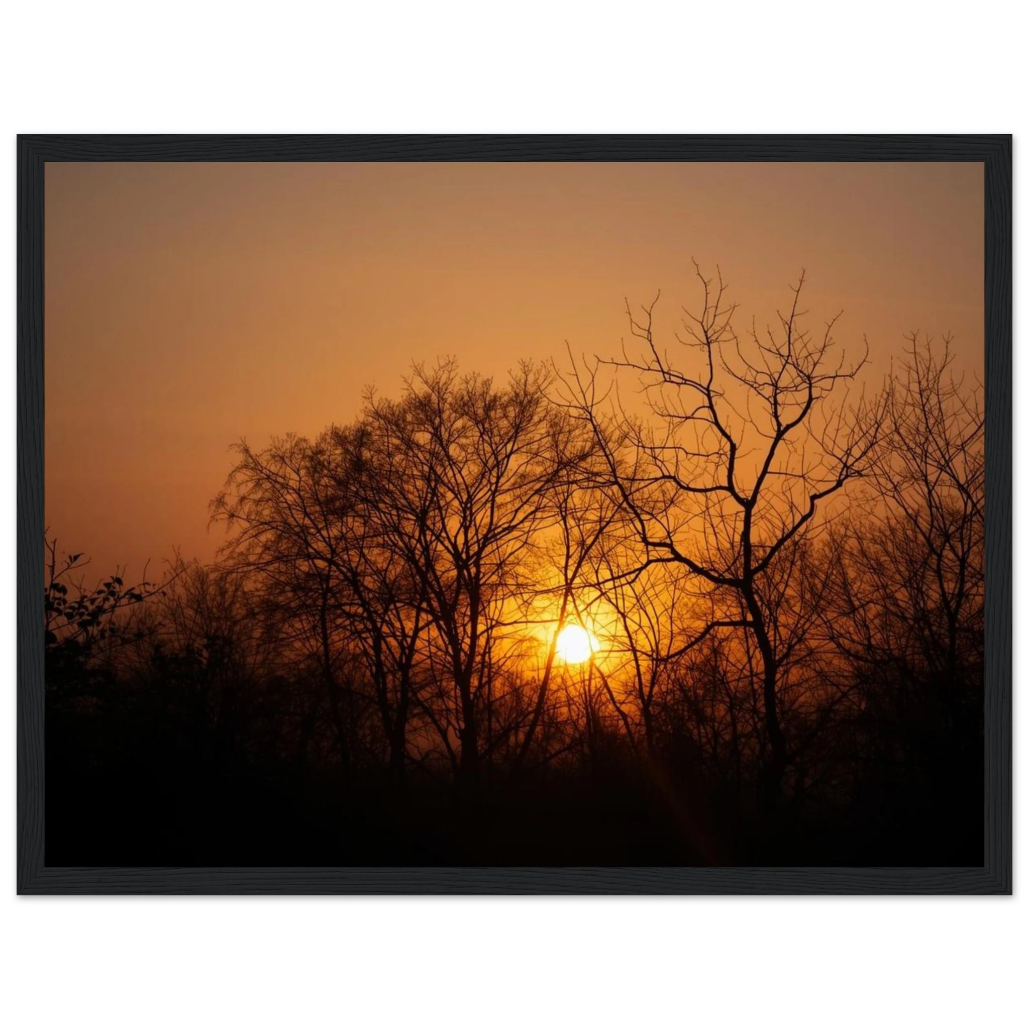 a00522ed-9bef-4ff5-9bf0-040b508da7a0