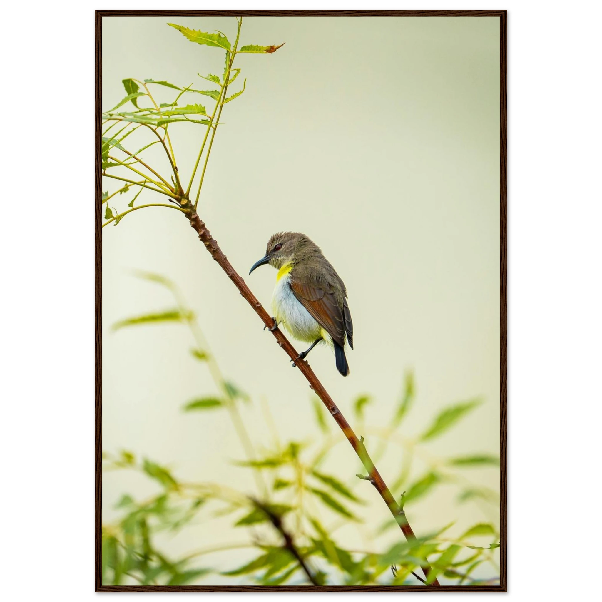 a00ed05d-be3c-4e18-9785-22fb202260fb