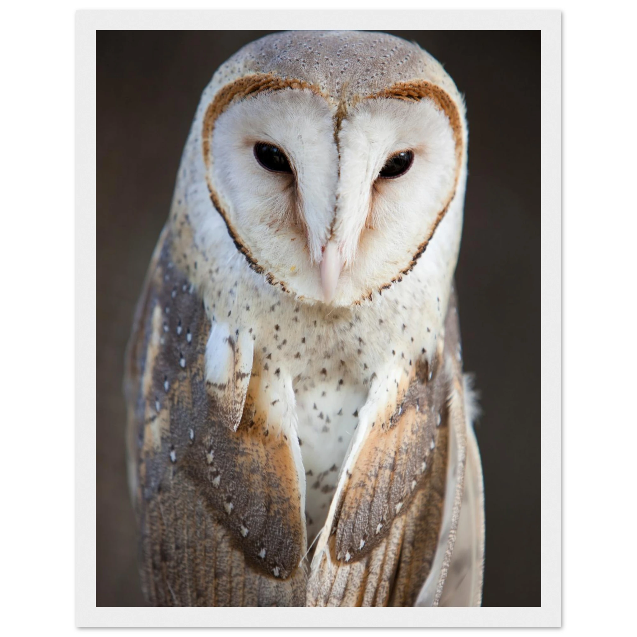 a02199c5-3c8f-4866-a5f6-d091fade0f2f