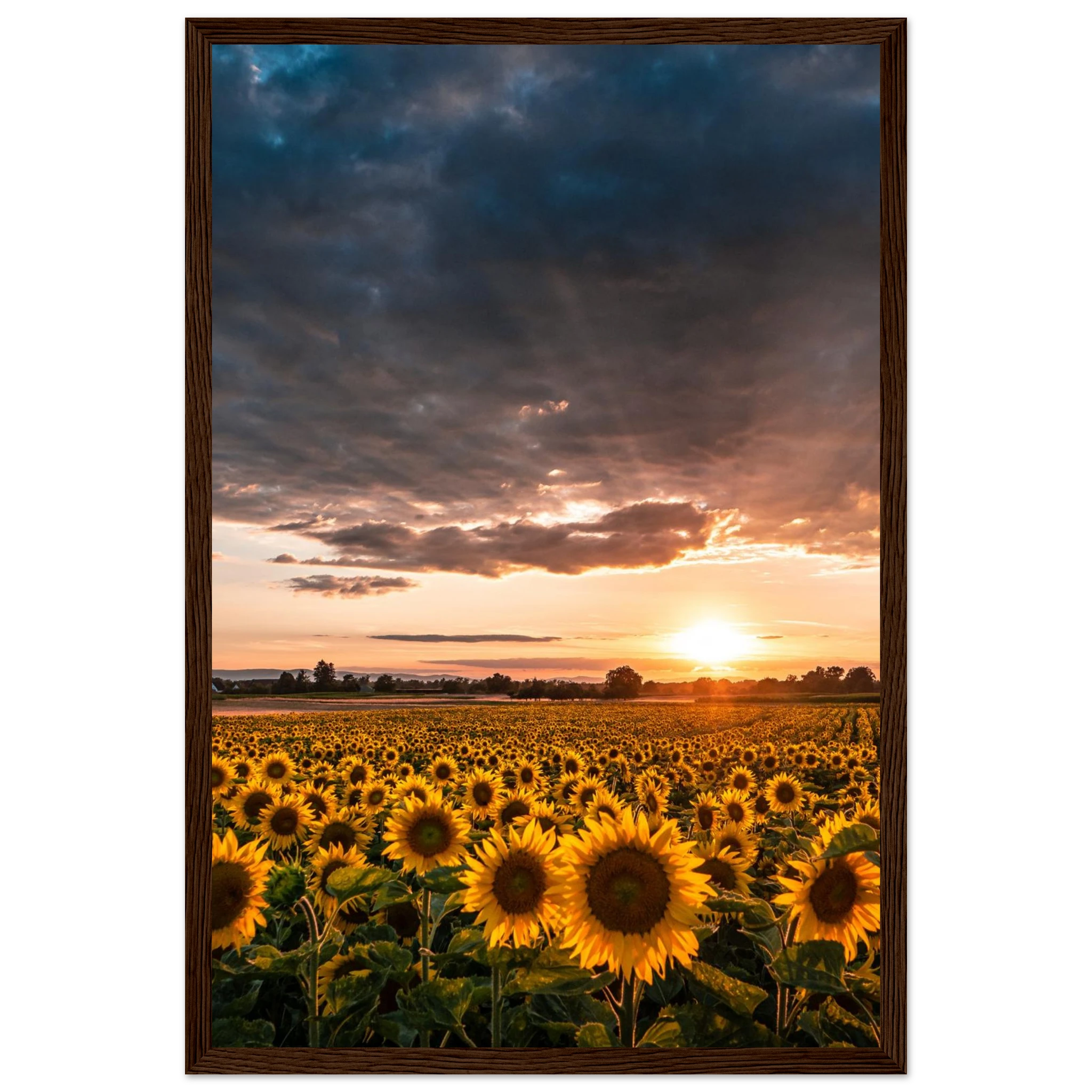 a030d7a8-2d76-4c3f-aed6-07b9383ef63c