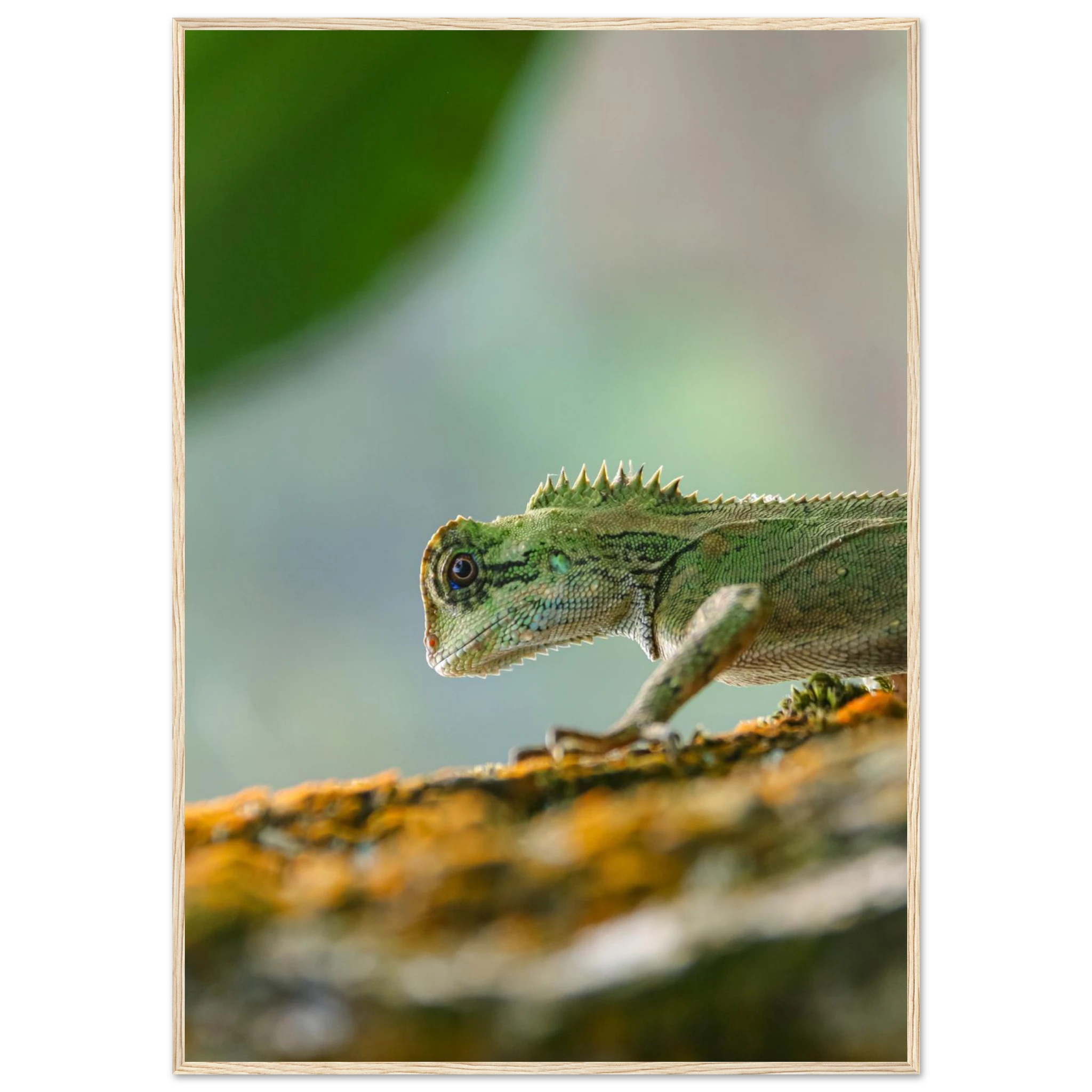 a032d1f5-e620-481b-91d3-efe3ee105547