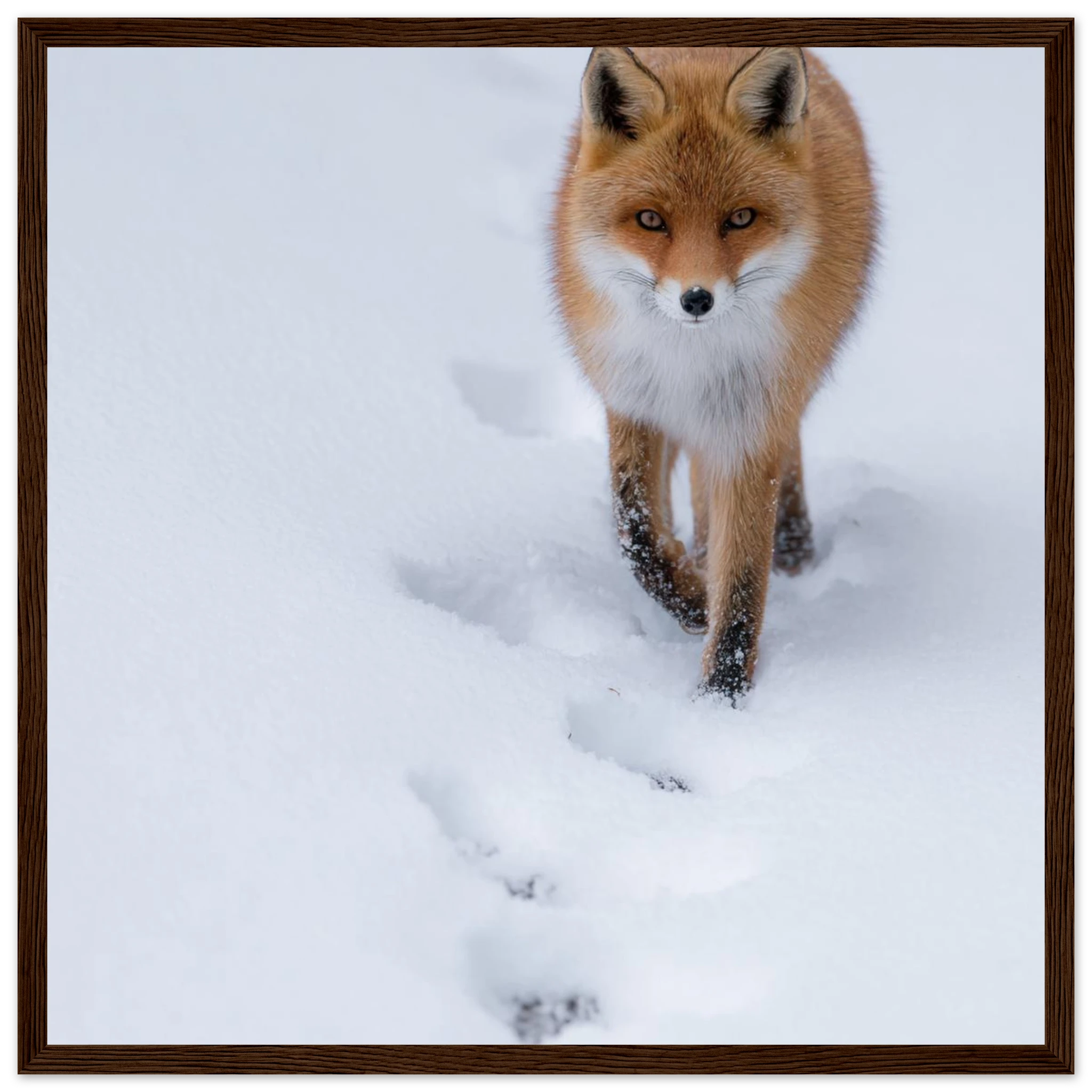 a03ac22b-b966-4907-bd83-d9b84dba99c9