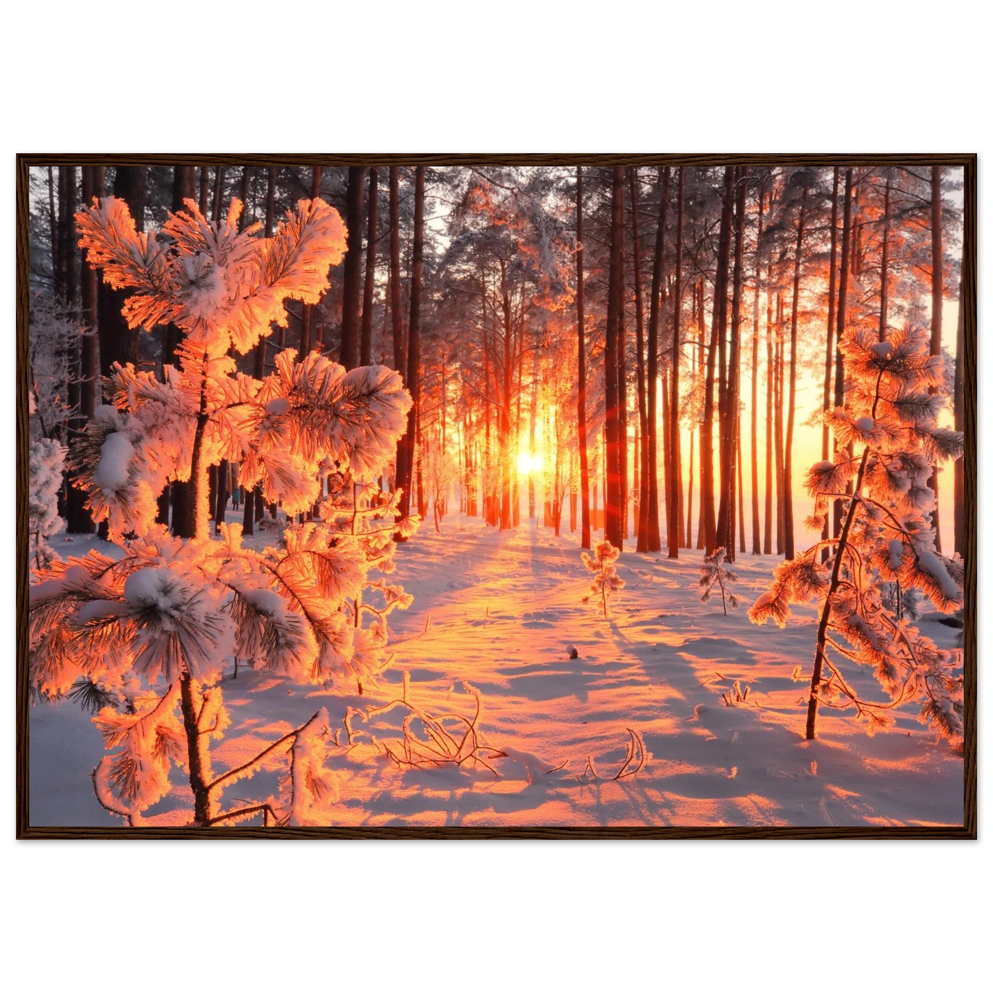 a044370d-a723-4caf-b5e7-48d96d081913