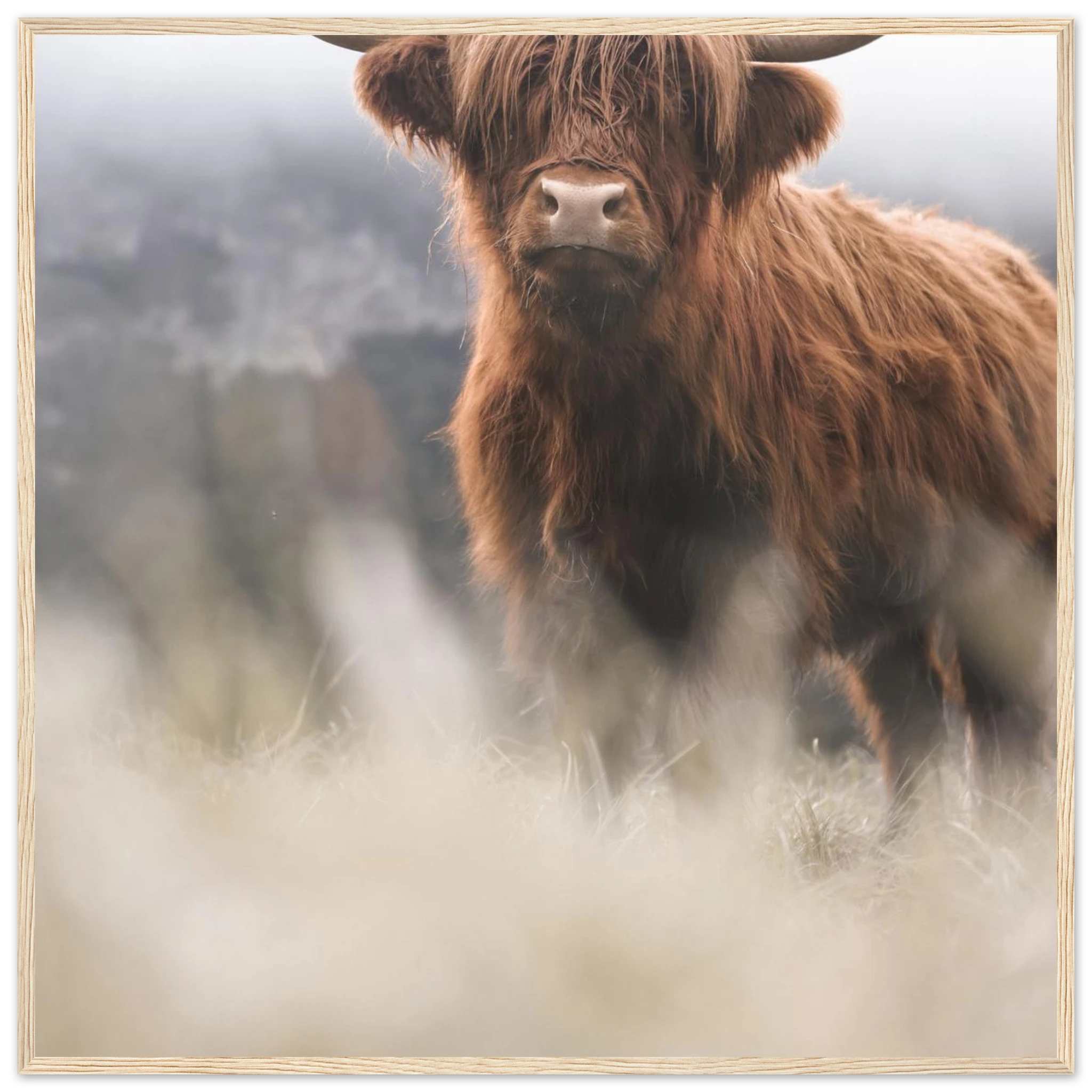 a05f28f6-e80c-44cd-8915-1c874f81452e