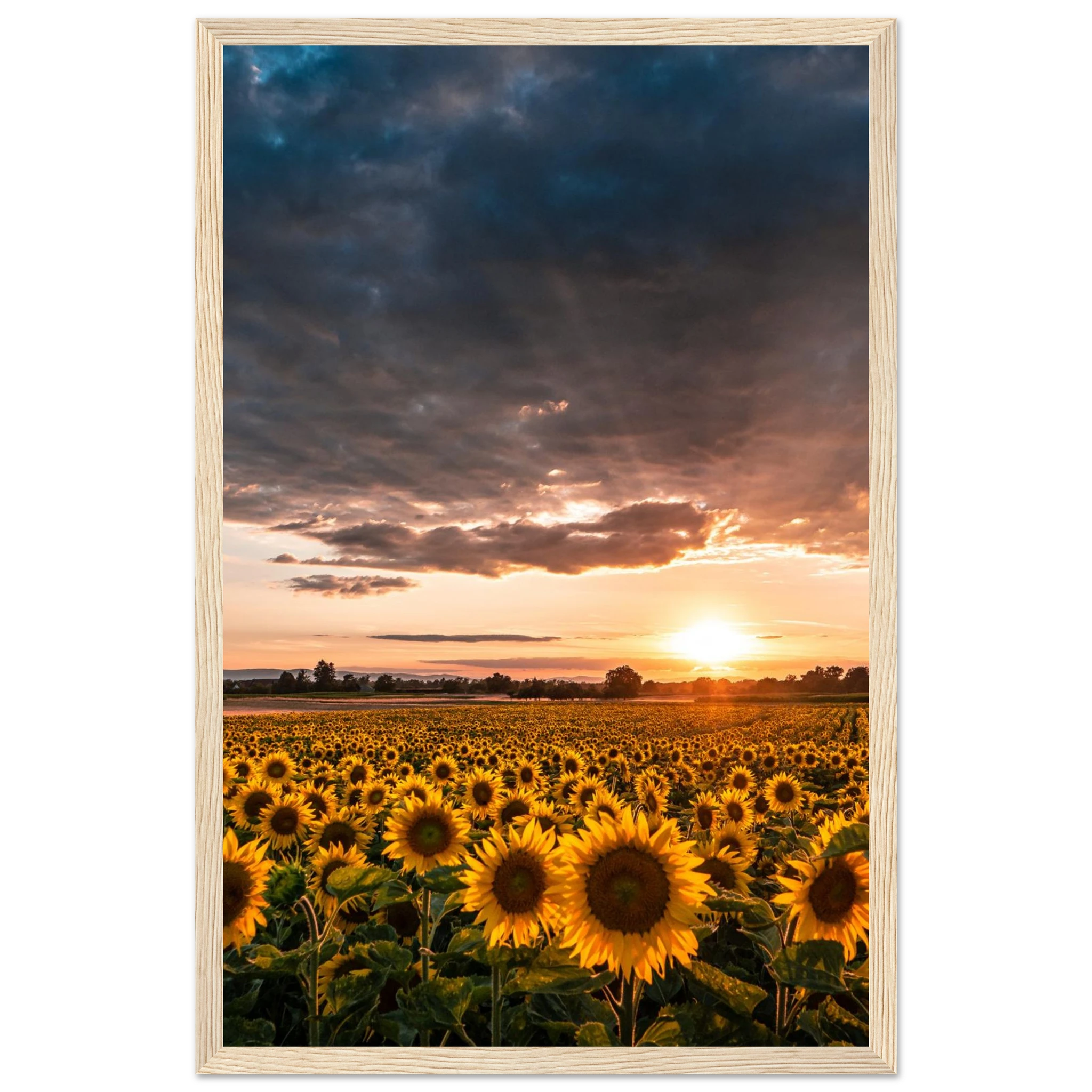 a095310d-e151-4dd6-9023-1e3c802e6620