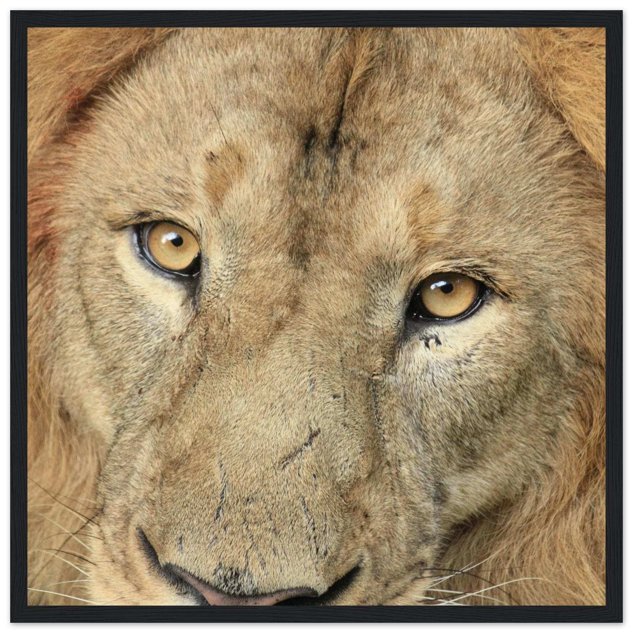 a09d8efb-7b60-44dc-af0f-018d21c6fd99