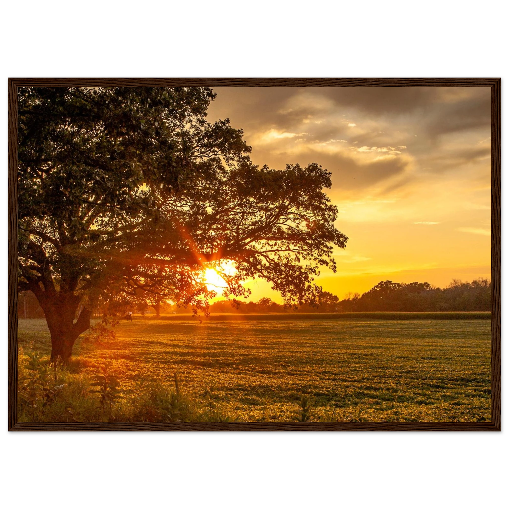 a0a1204b-3f16-46e9-91cd-5e330e35c11c