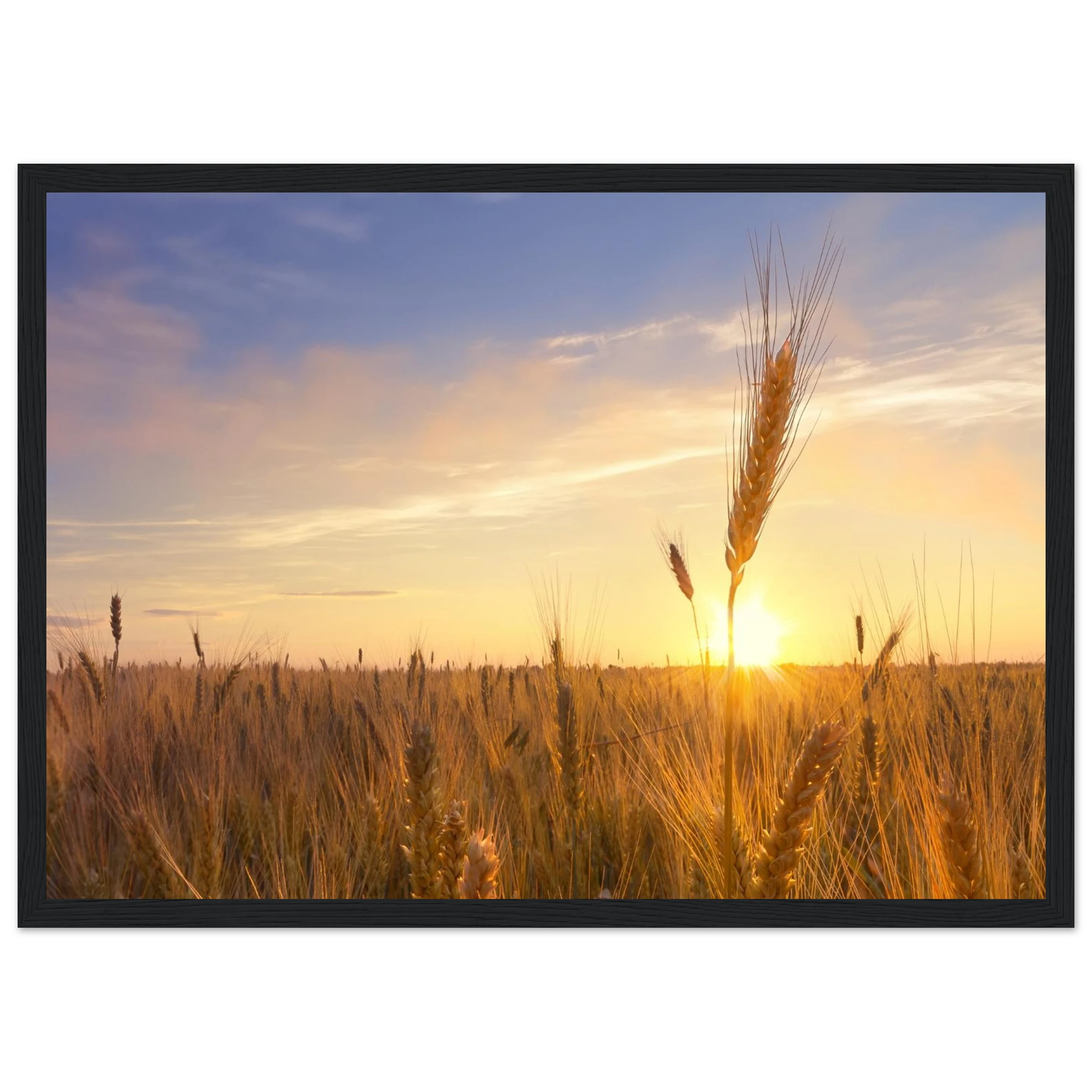 a0a7b9b0-1144-4ff0-8e18-74b29824ff73