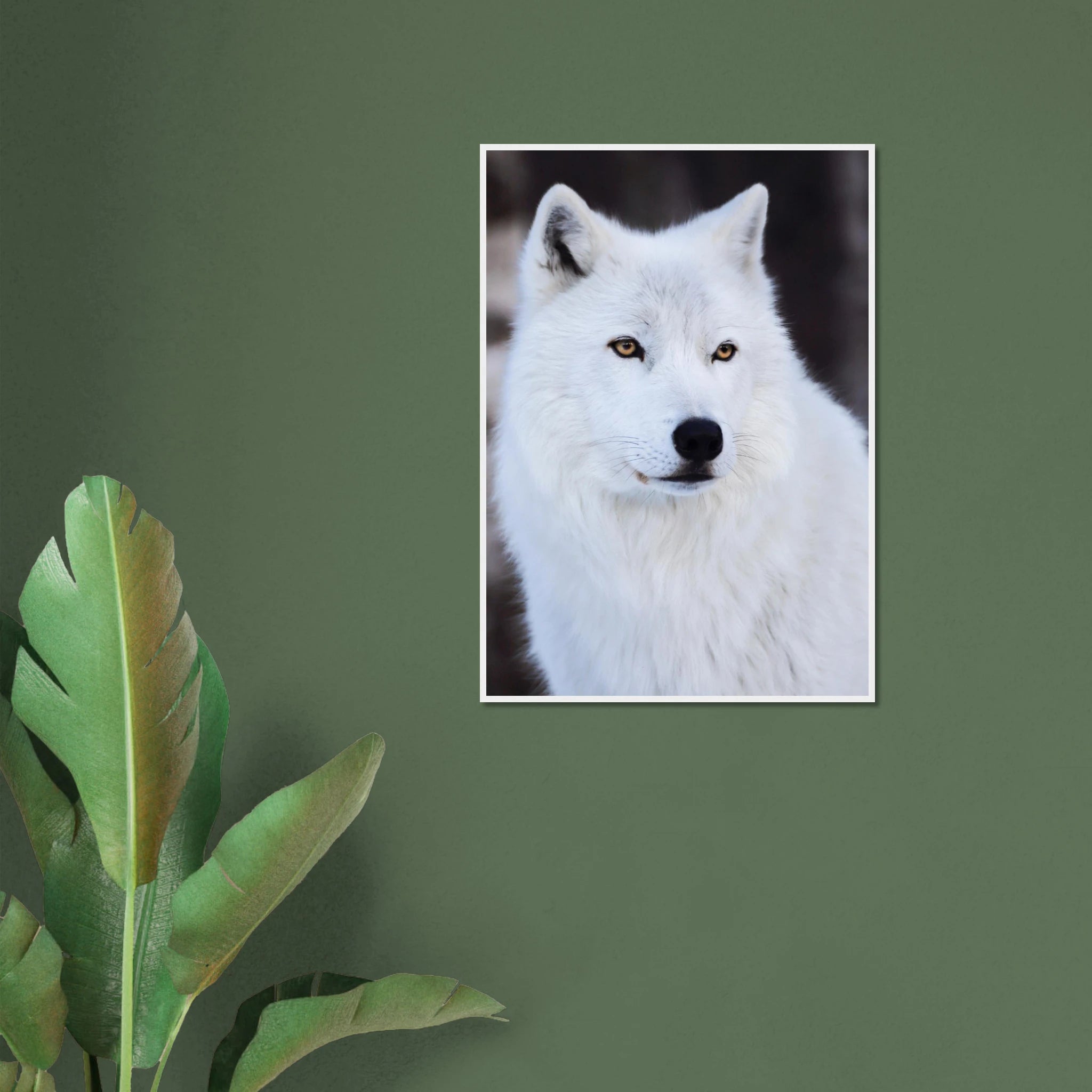 a0df5c52-16b3-4466-aed5-f44c9d1387ce