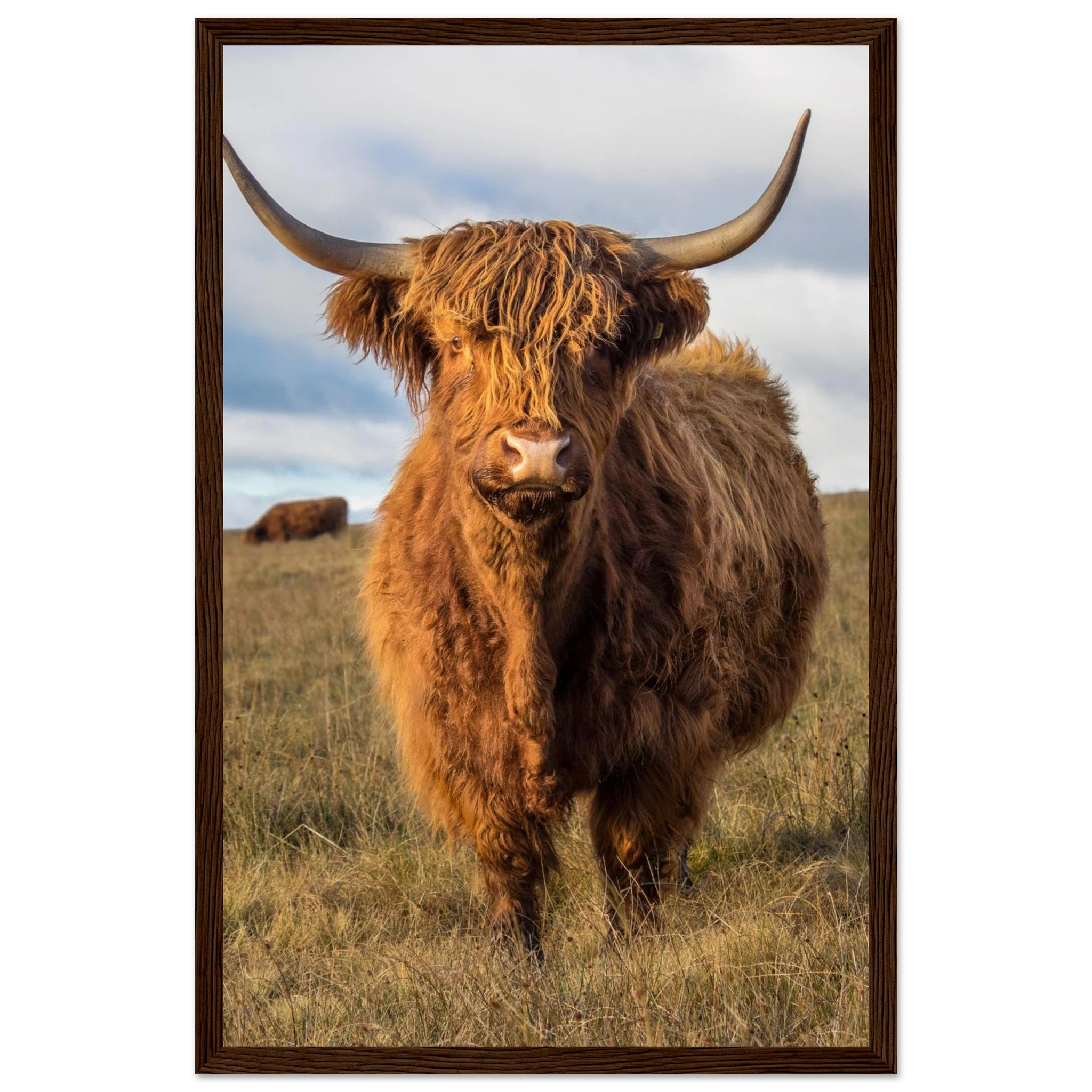 a0eeb9f1-2ccf-4129-856f-2b56cc62d972