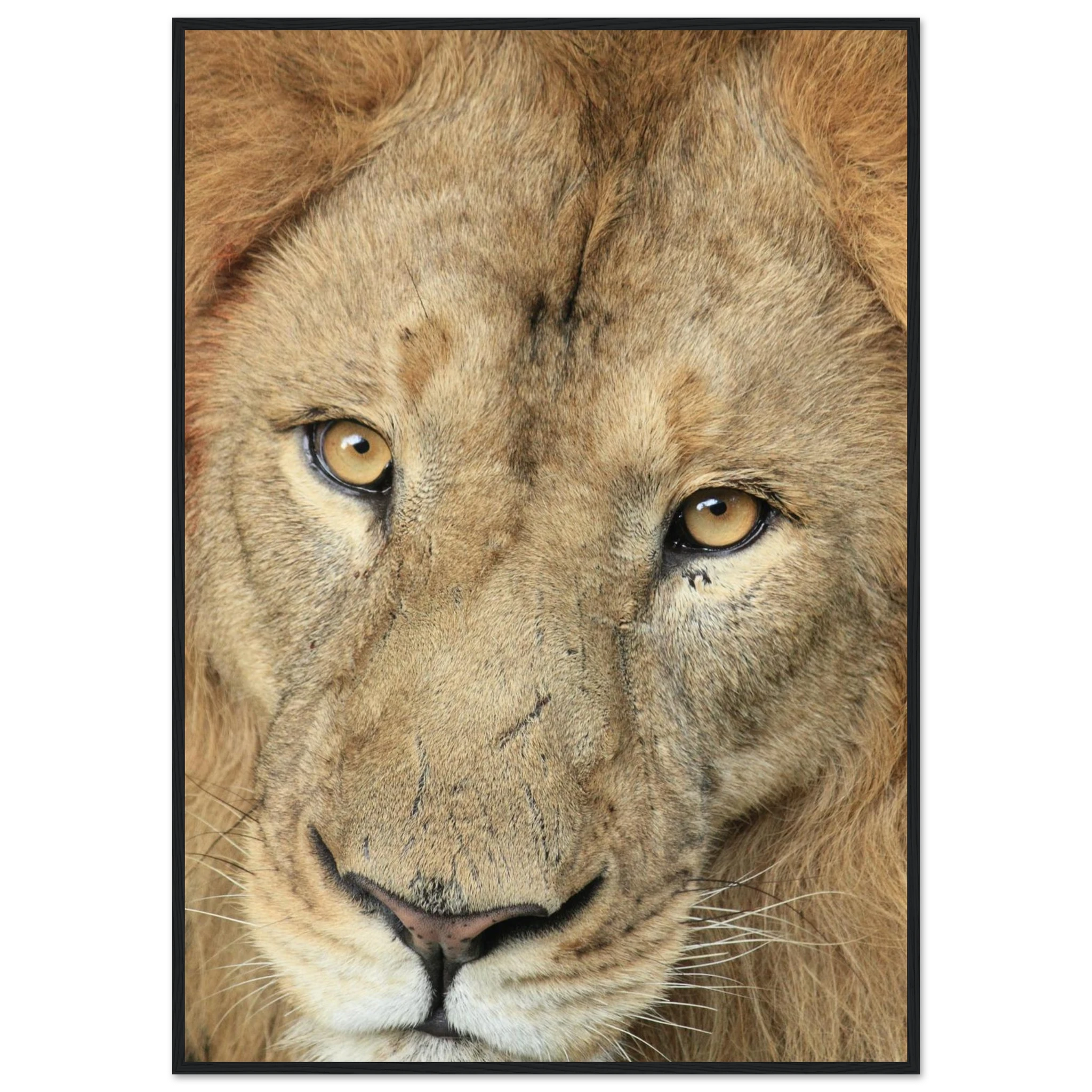 a0f34501-eaa4-4ee1-b898-4ad9681c4b0b