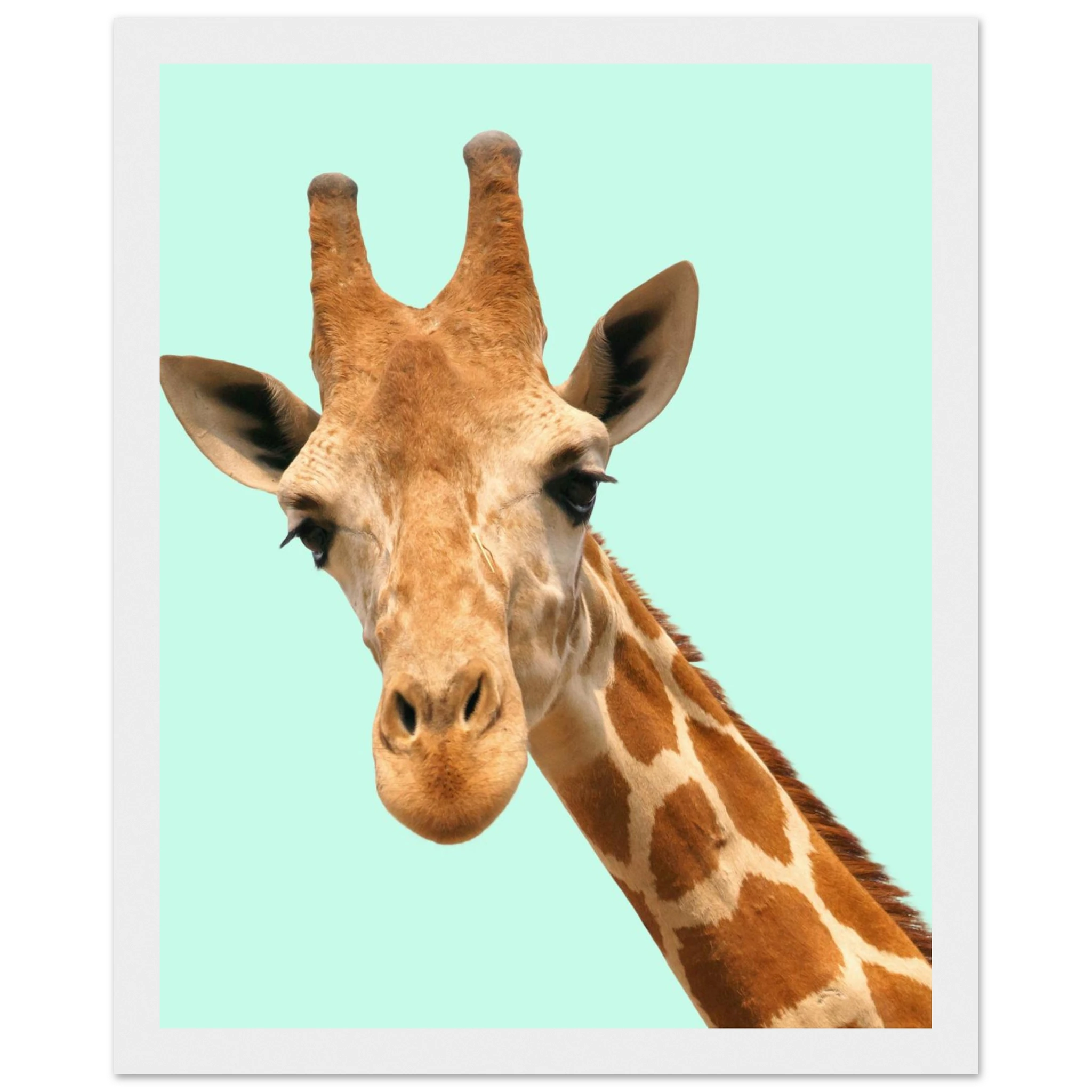 a115bf8e-184a-4df5-bc9a-f83f2f8665e6