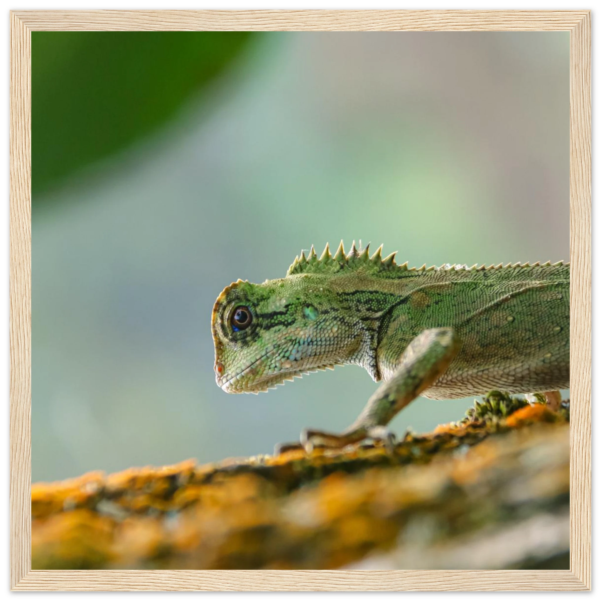 a150e214-73fe-44a5-bb6f-c5426415f745