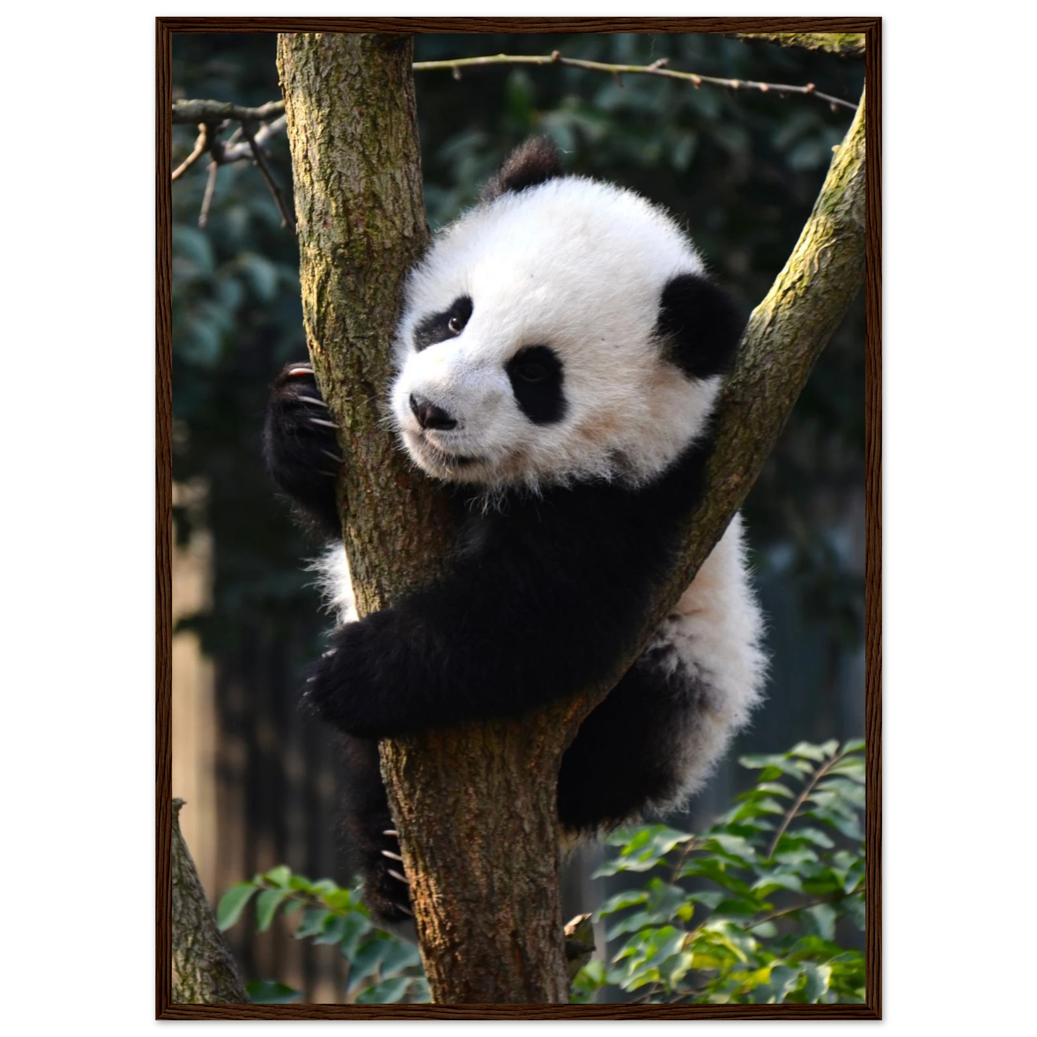 a178175e-24b2-41a1-947b-3e3153cb2070