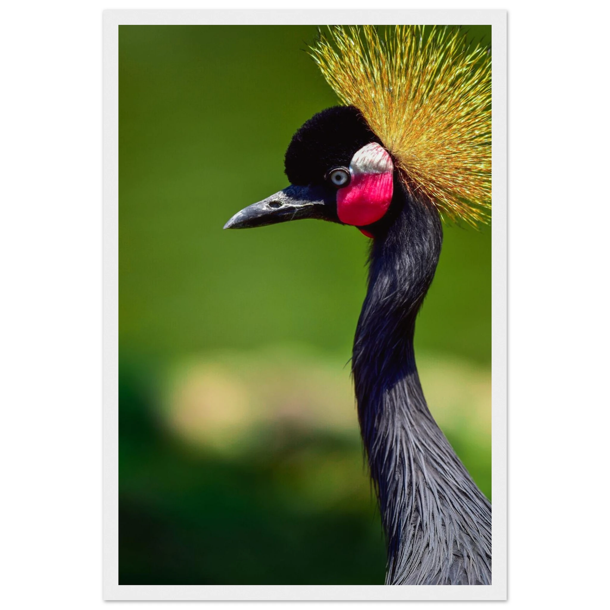 a17ab685-b139-4230-b0d3-24353497bd46