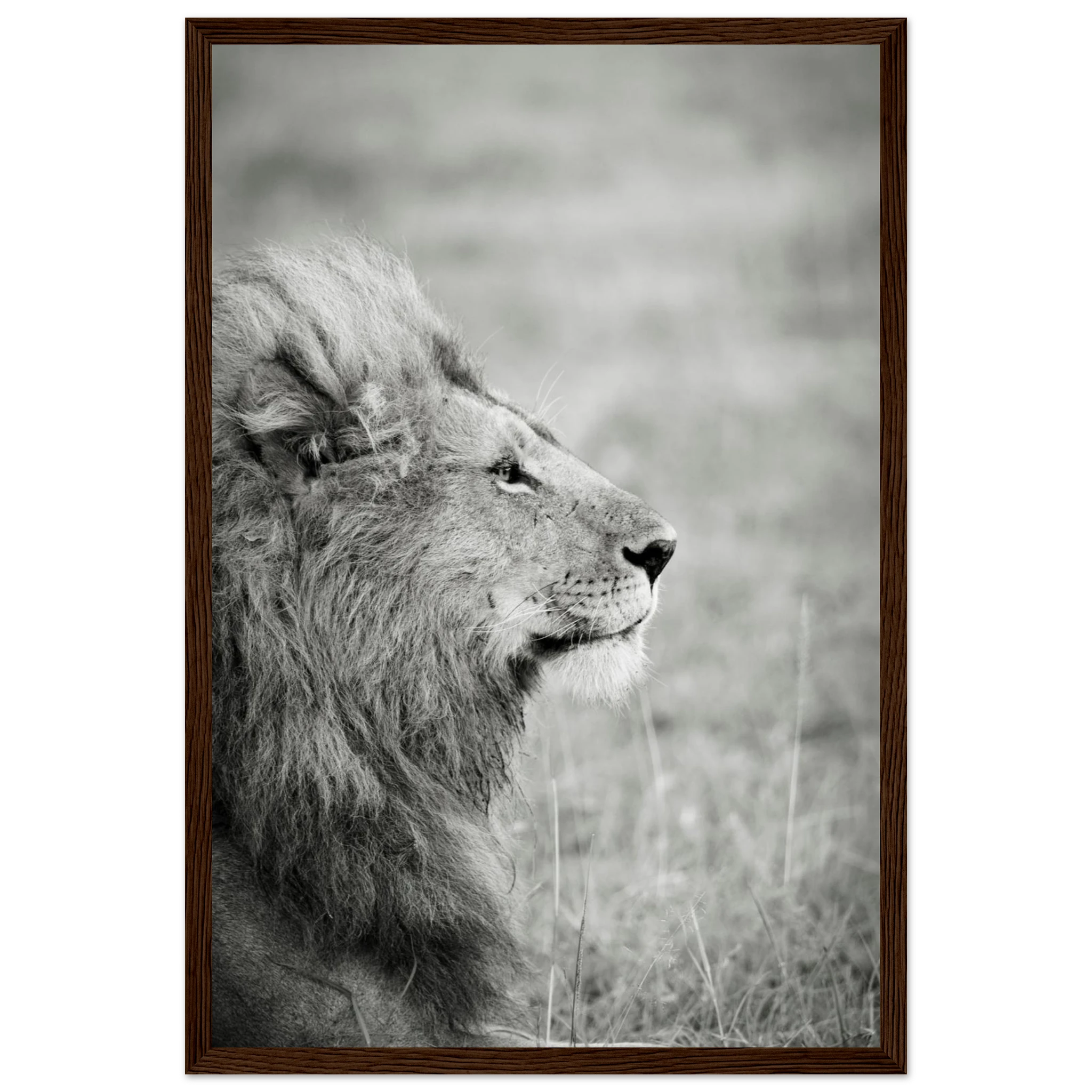 a19388eb-aeed-4c66-b4e8-1a1ad6fb06aa