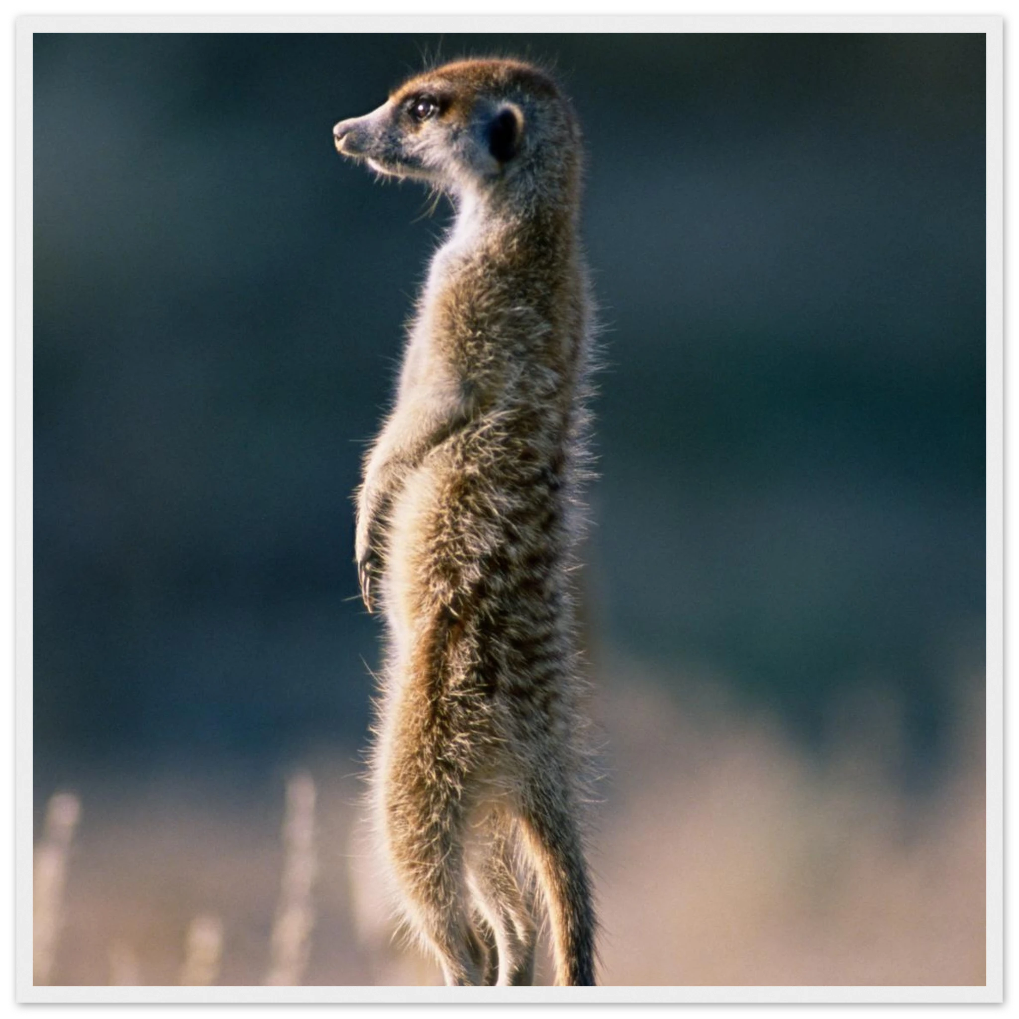 a1939316-7d2b-474f-b96c-515d2f7c40e2