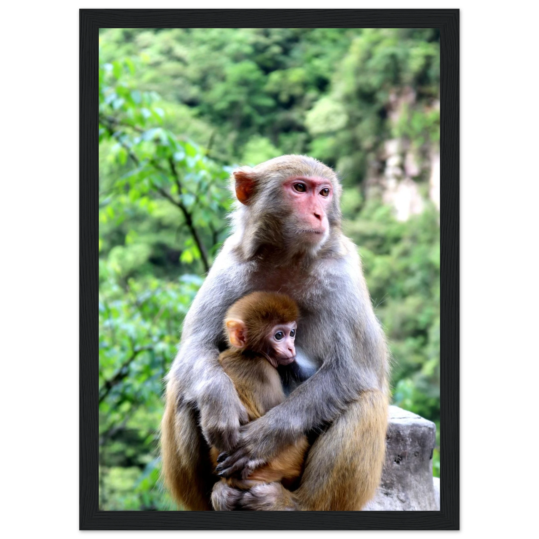 a199ded1-2ef9-4f03-9d0a-1091825d1190