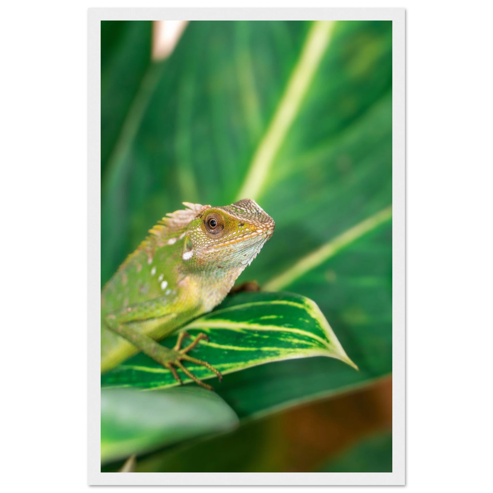 a19b8121-9bad-438b-bbca-fcacc0ce1cd7