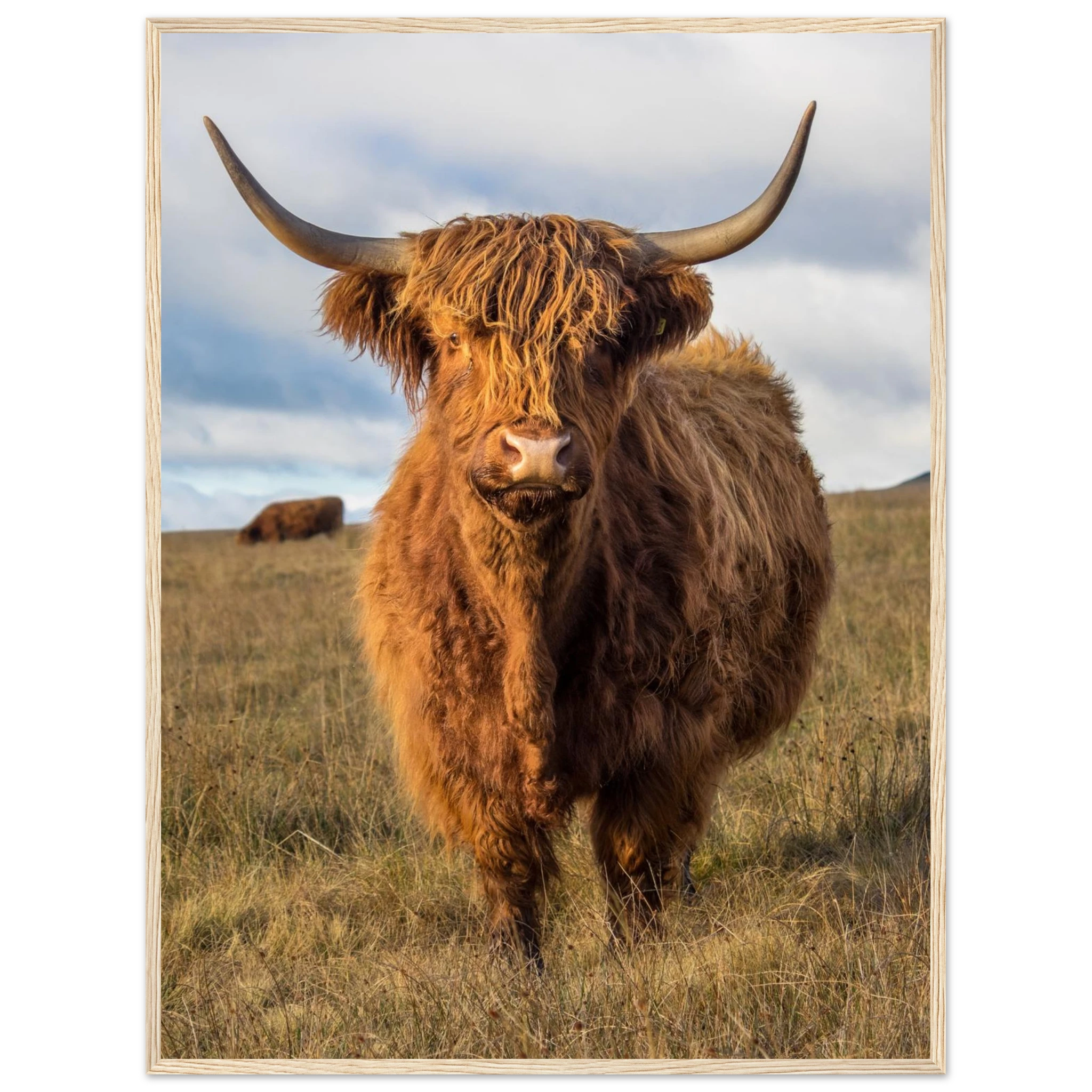 a1b28ae3-f5cb-4574-8566-ceb4d5f25c98