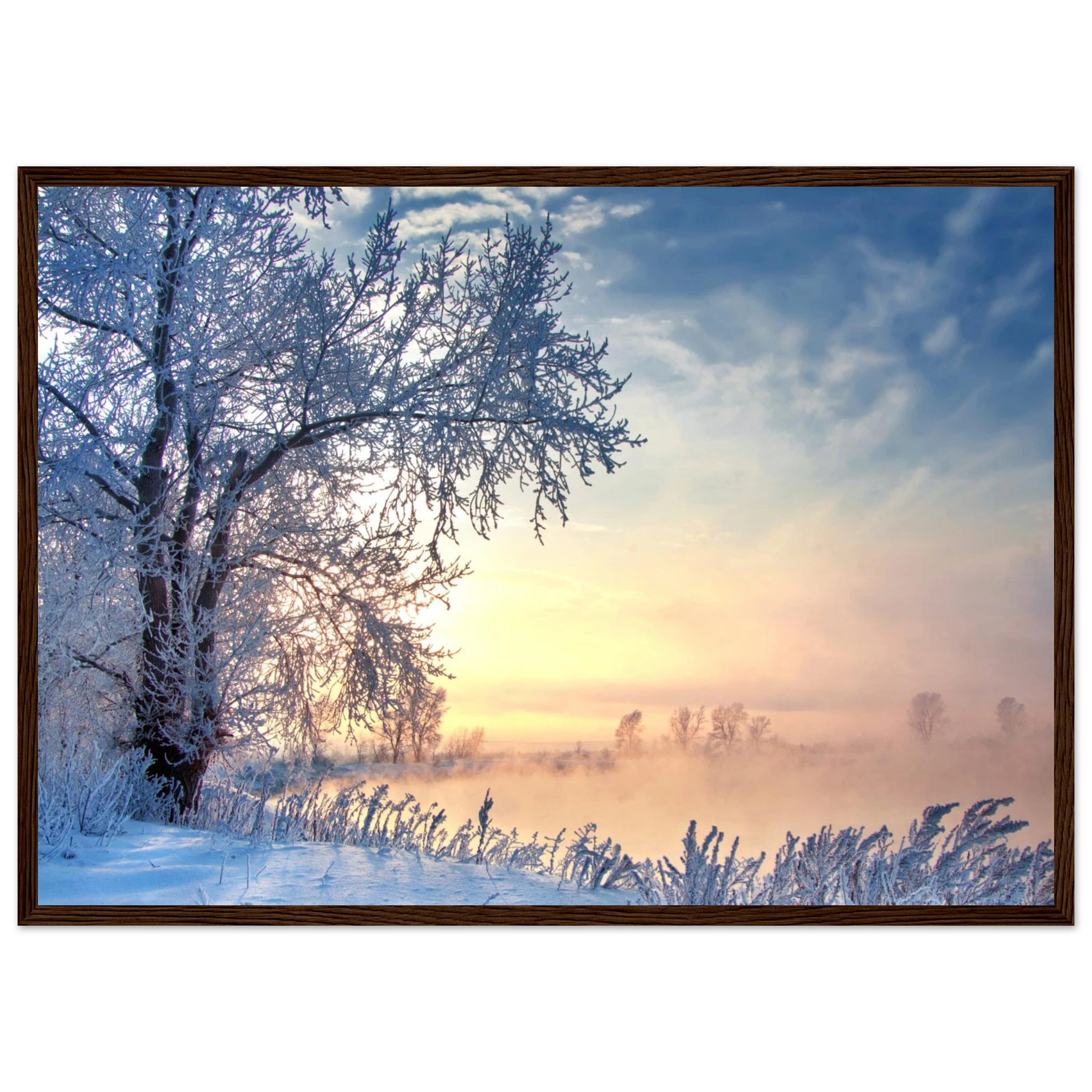 a1f07264-e799-4aa3-997c-998a35d054b3