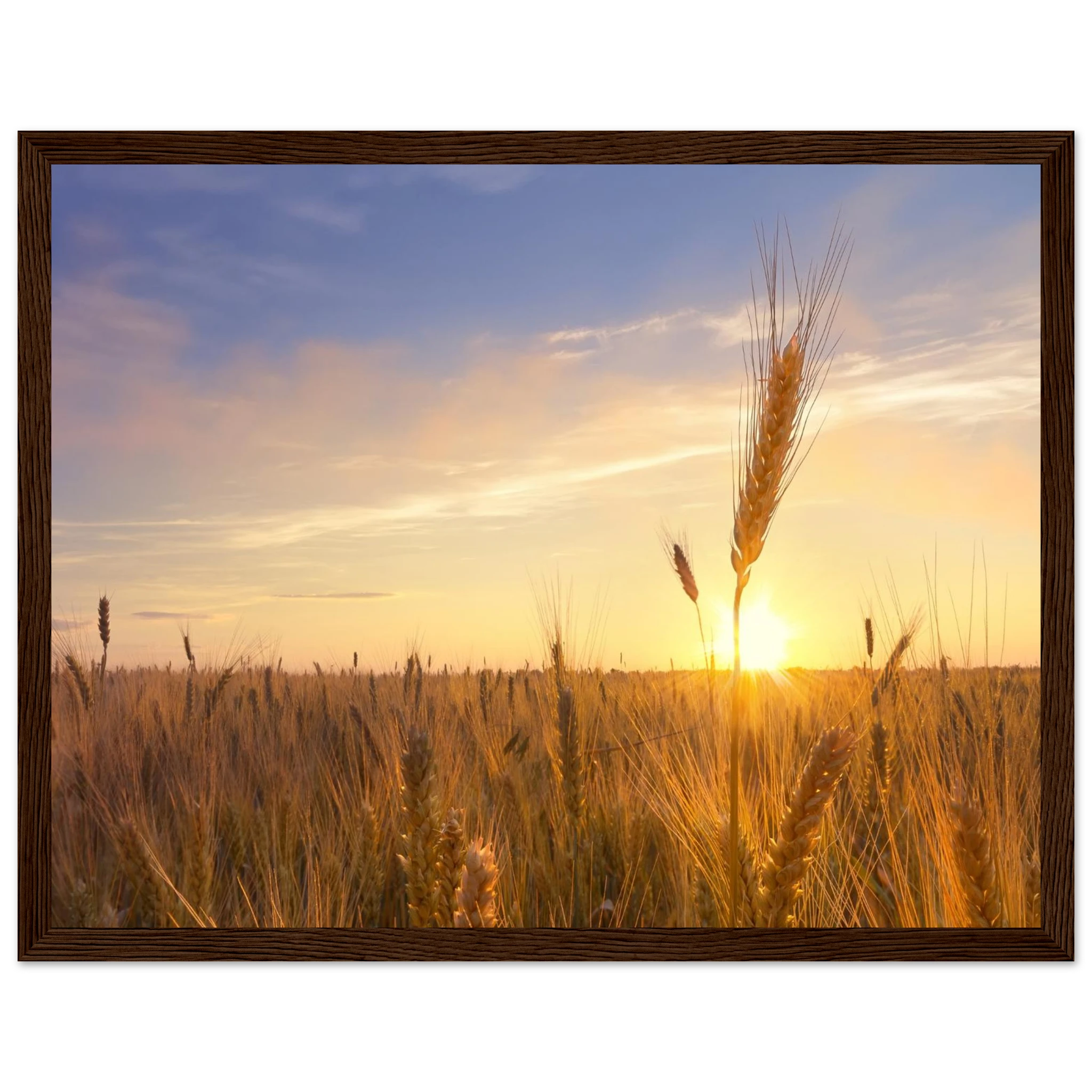 a201c982-3b1b-4007-8210-1081f1032b5f