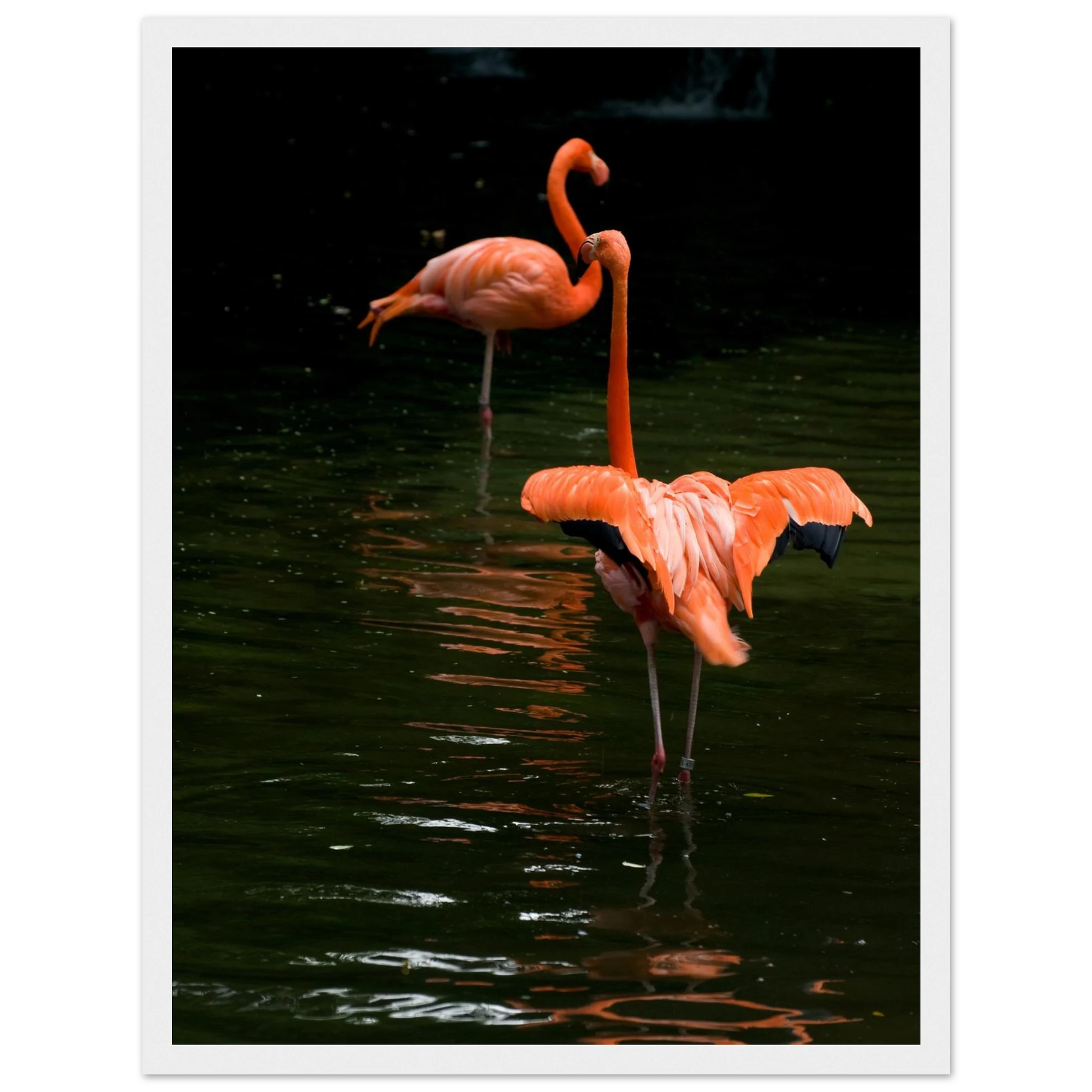 a20de81b-e6a9-4ed8-a181-89919c538fc0