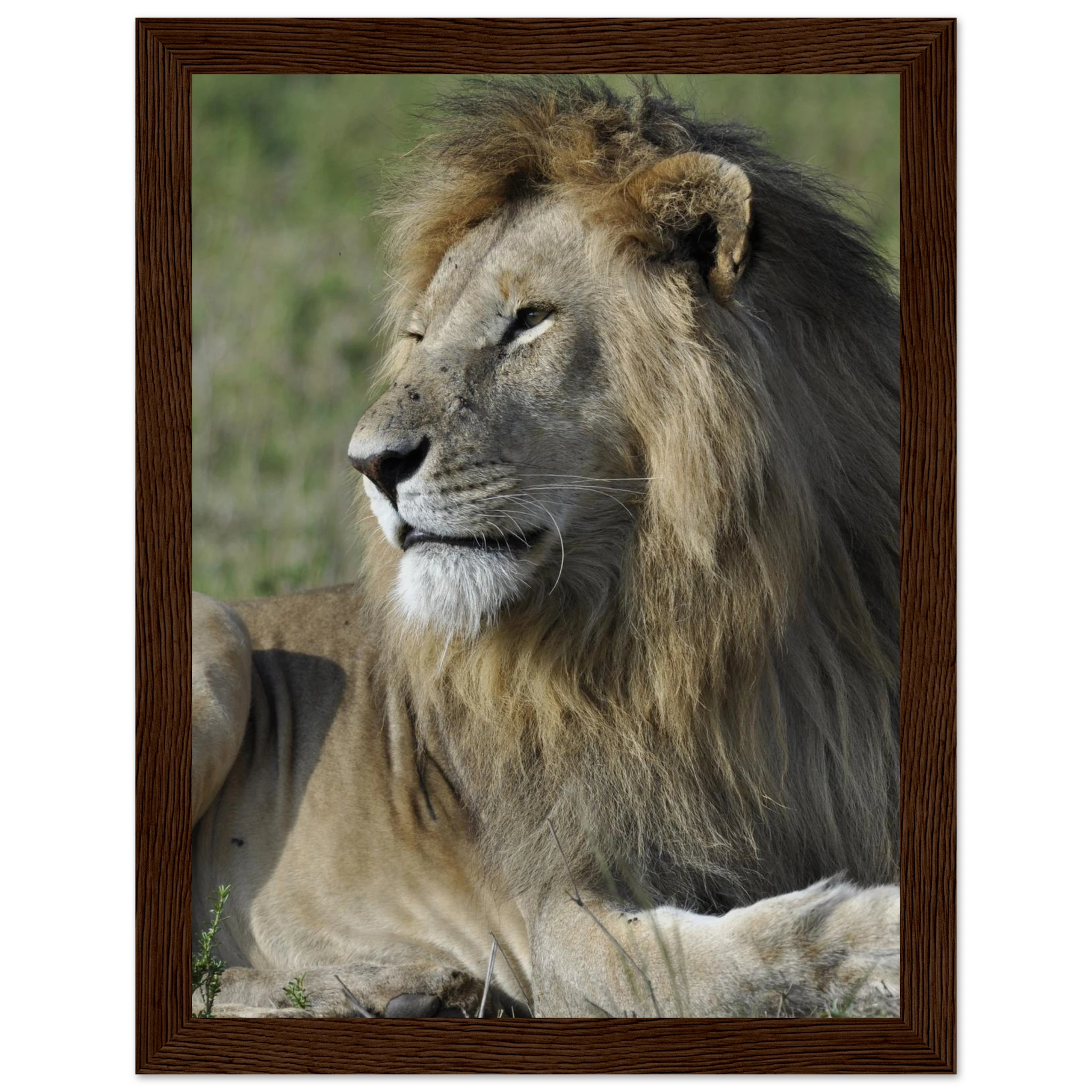 a21a68c3-f378-451c-b9a5-f80f092ac9ad