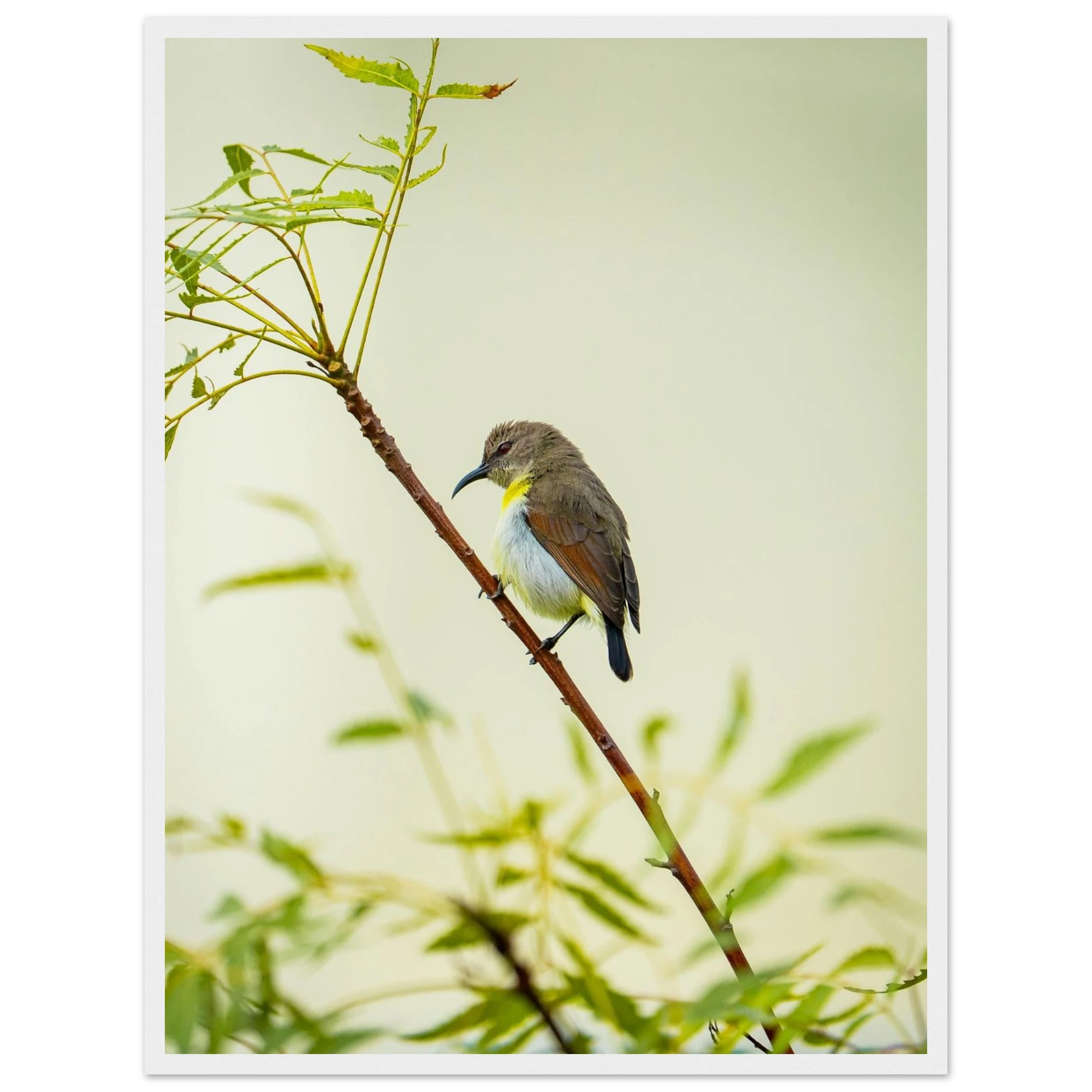 a27f98e7-f405-4b13-a991-72a285712329