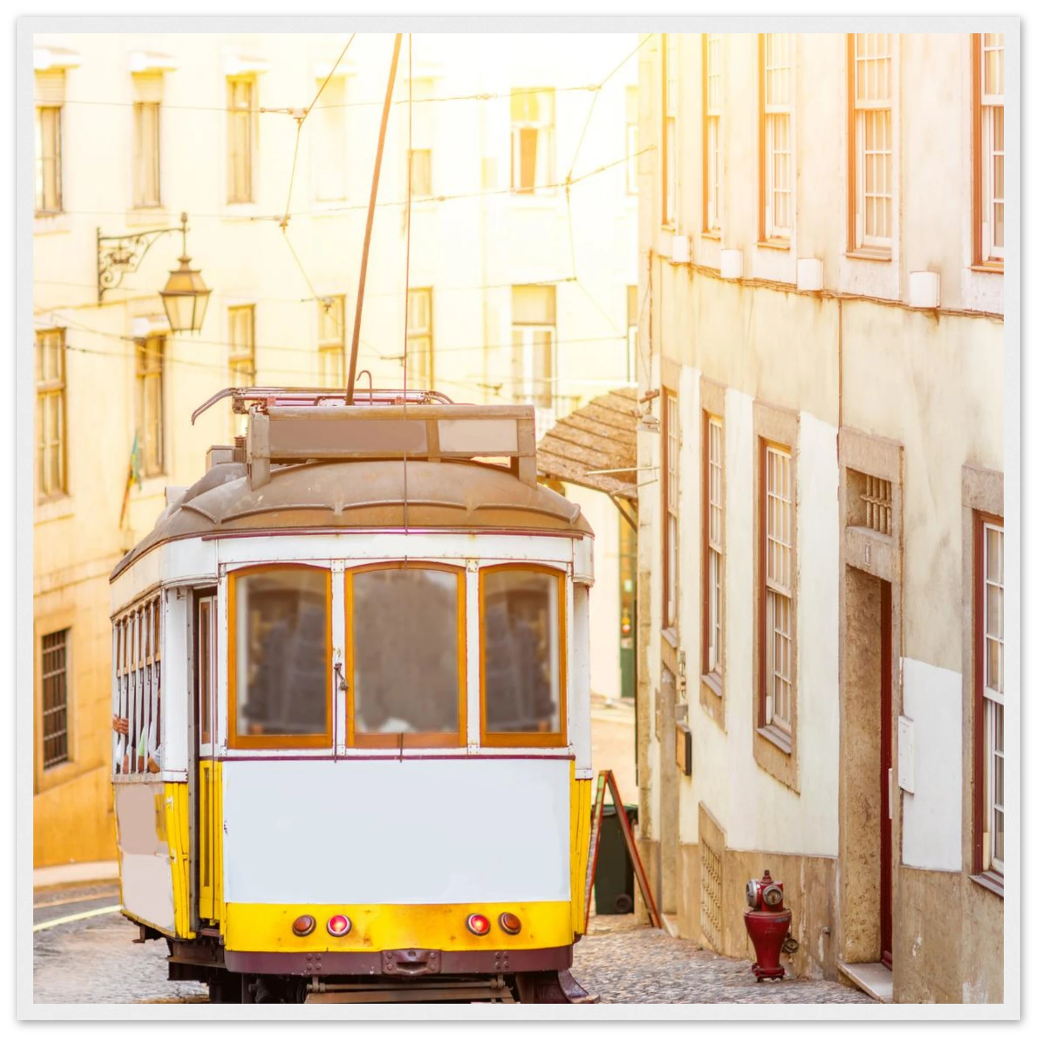 a29e4b04-645f-4adc-bf5c-ae6ef7f066b9