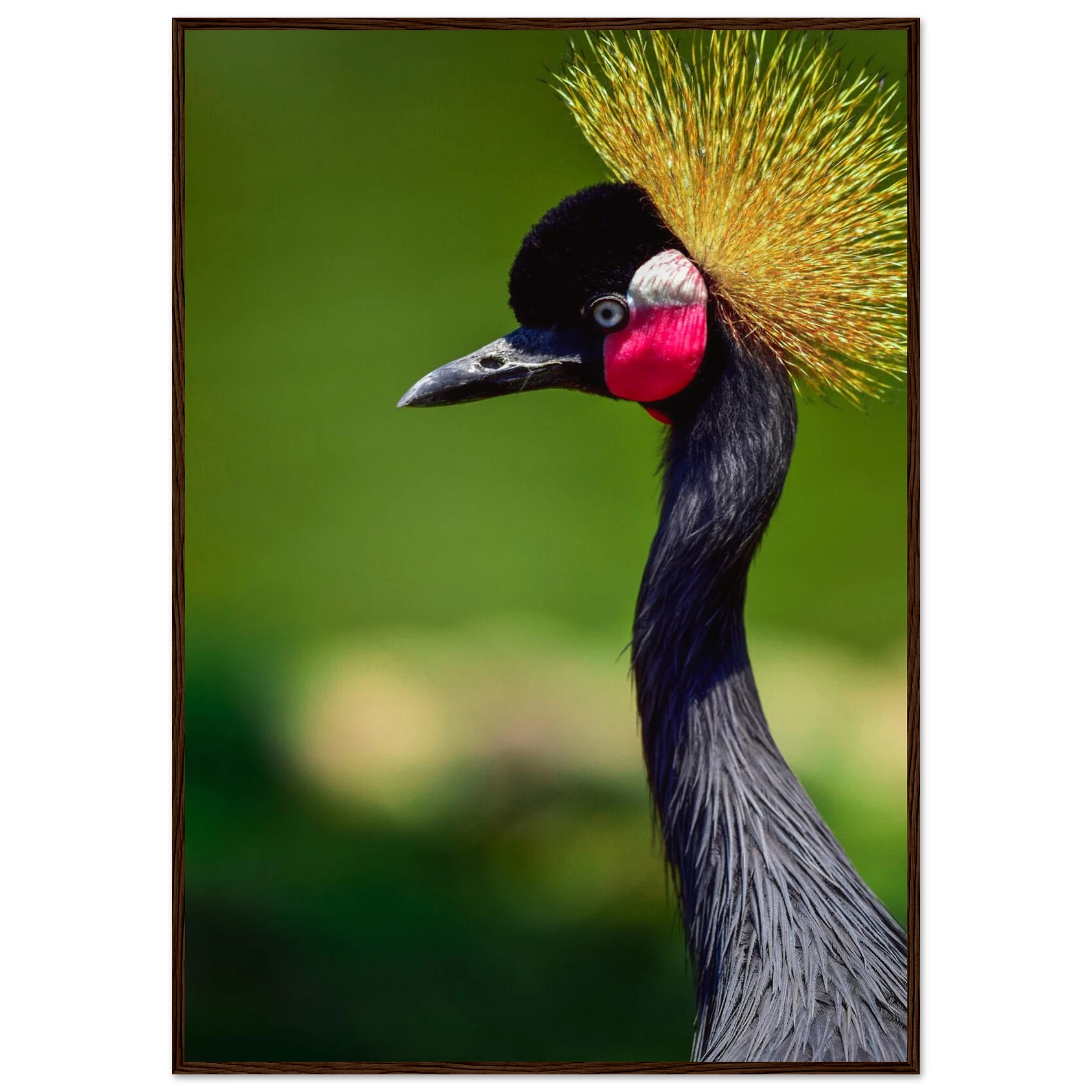 a2b3425c-4a13-4170-905c-3d23ddf62829