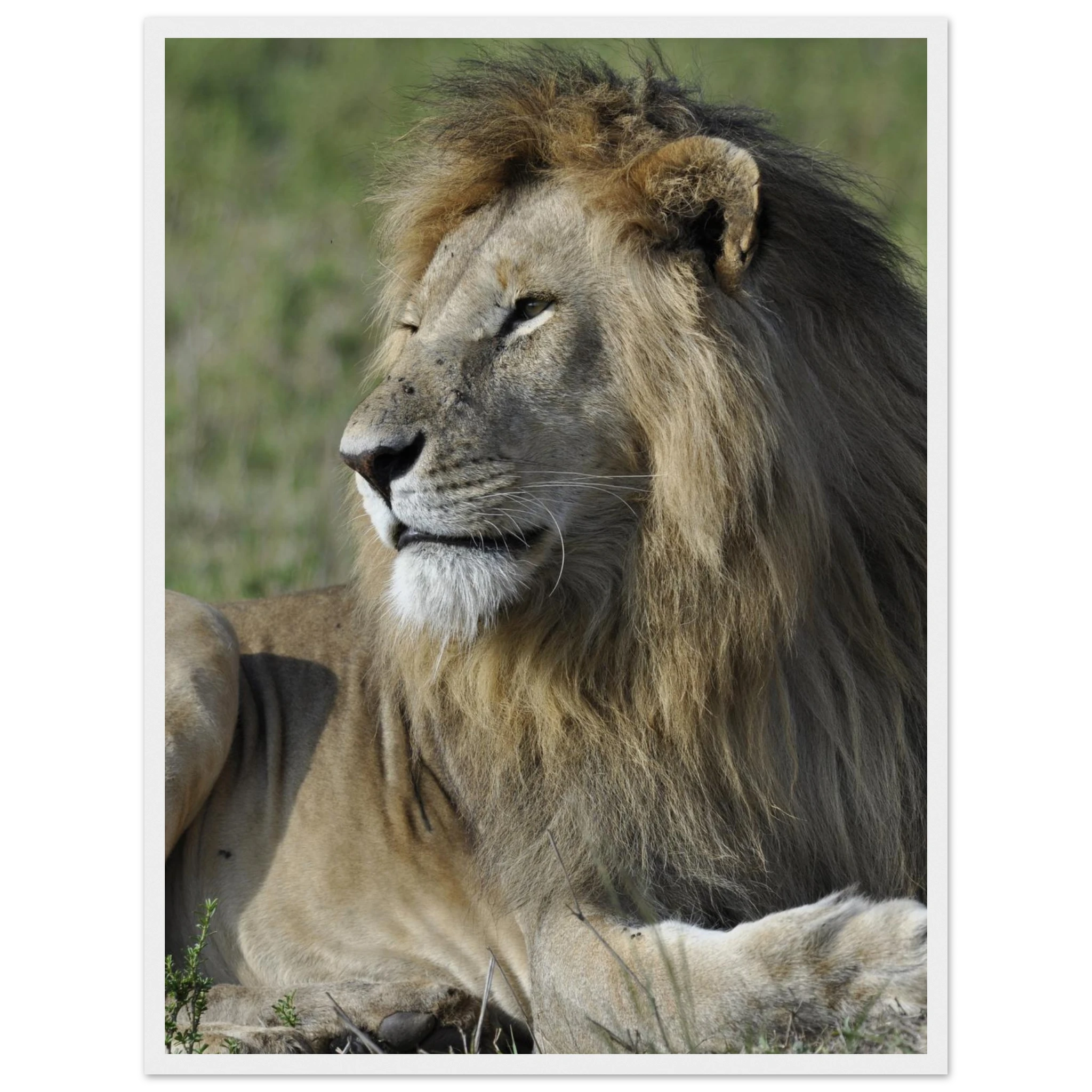 a2b8de8d-e9c8-4ca2-b8cd-fddb56b08574