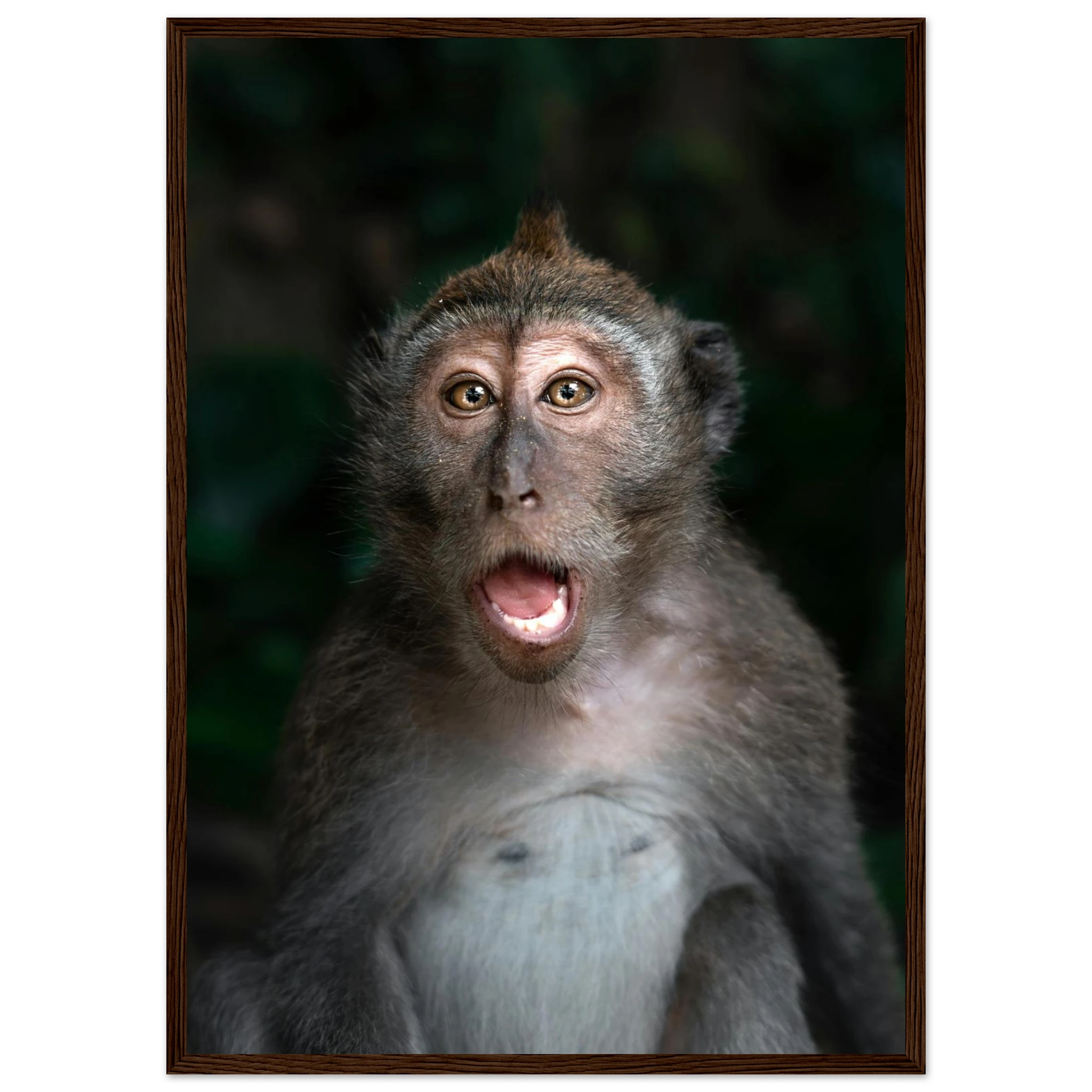 a2c1ad3a-6e1d-43c0-8f37-46abca637b61