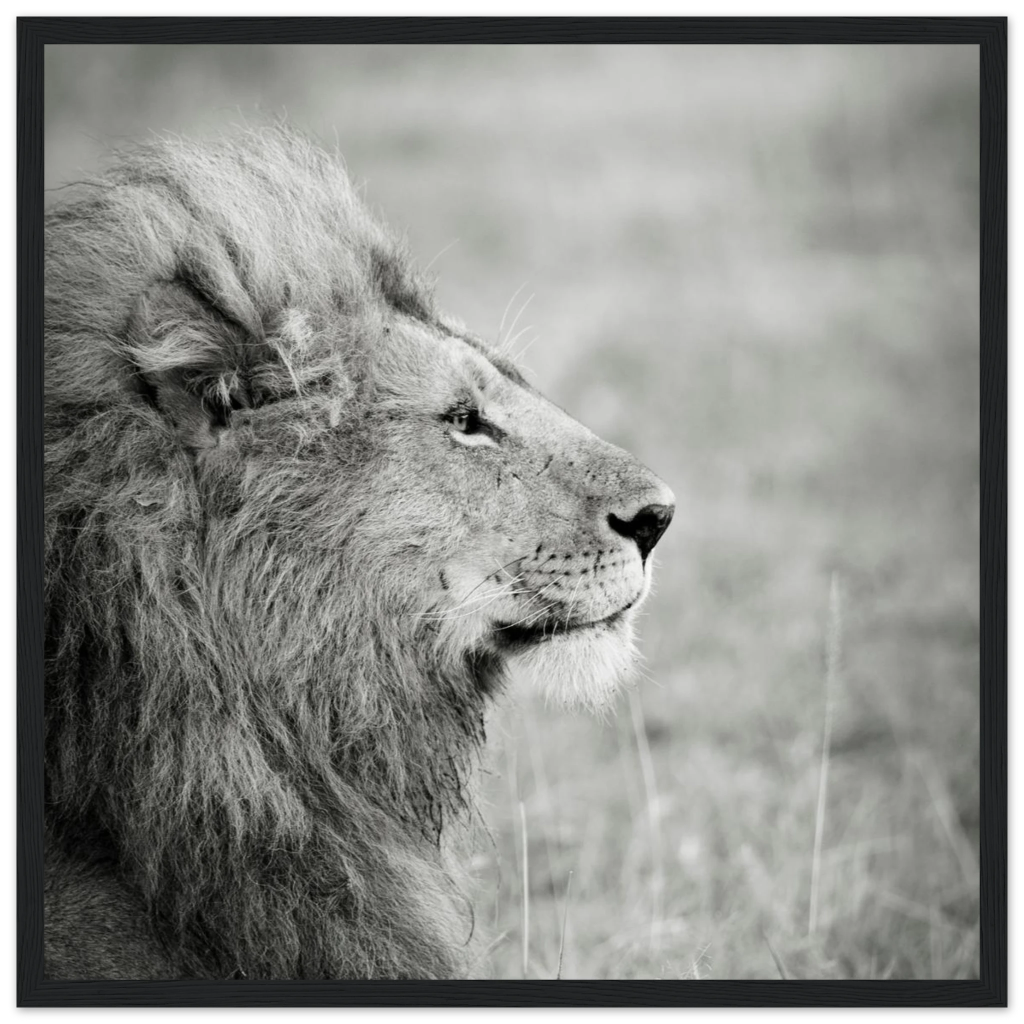 a2d61d93-26c6-4484-b814-ef049b06a581