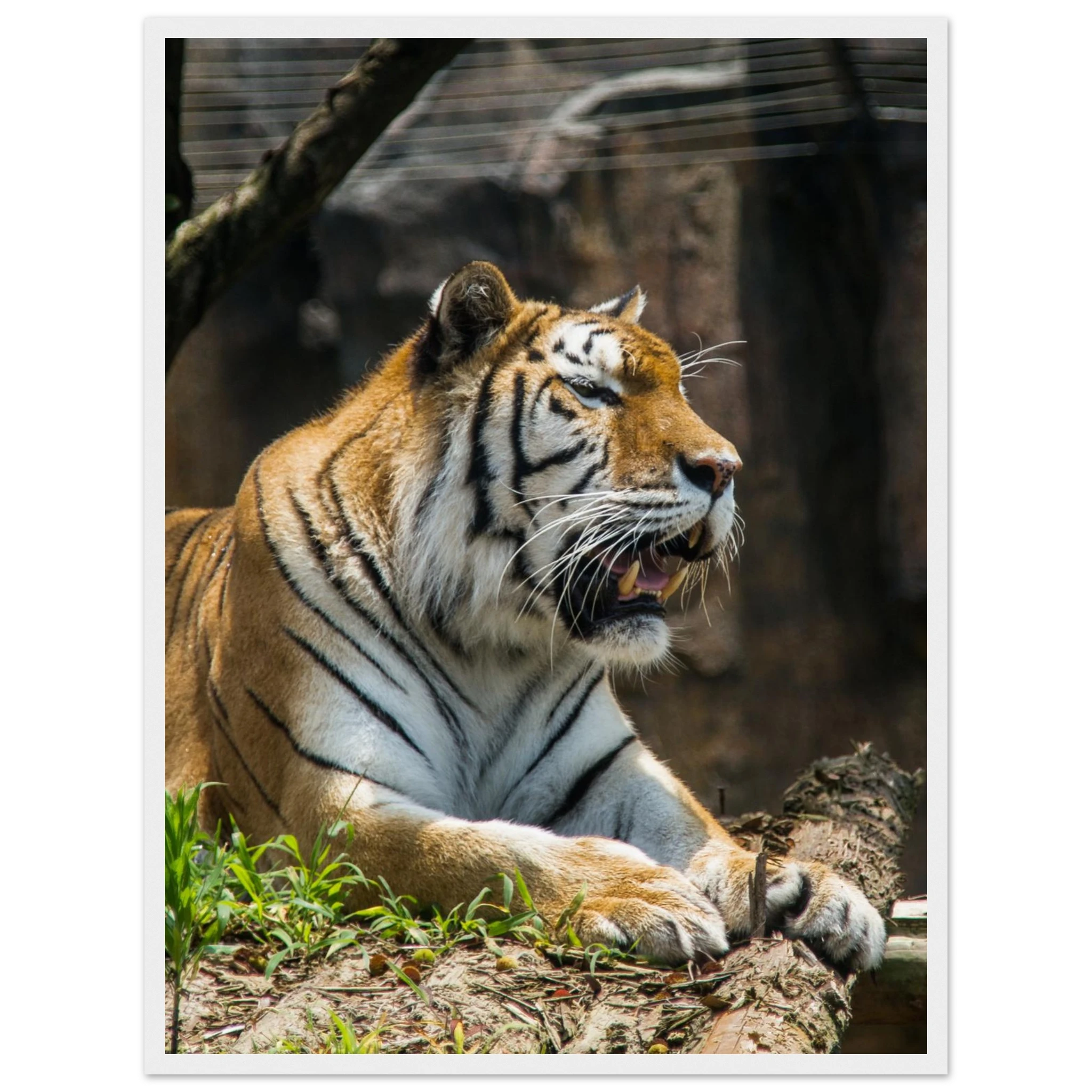 a2da1d28-0e8b-48d6-83fc-c4484411e768