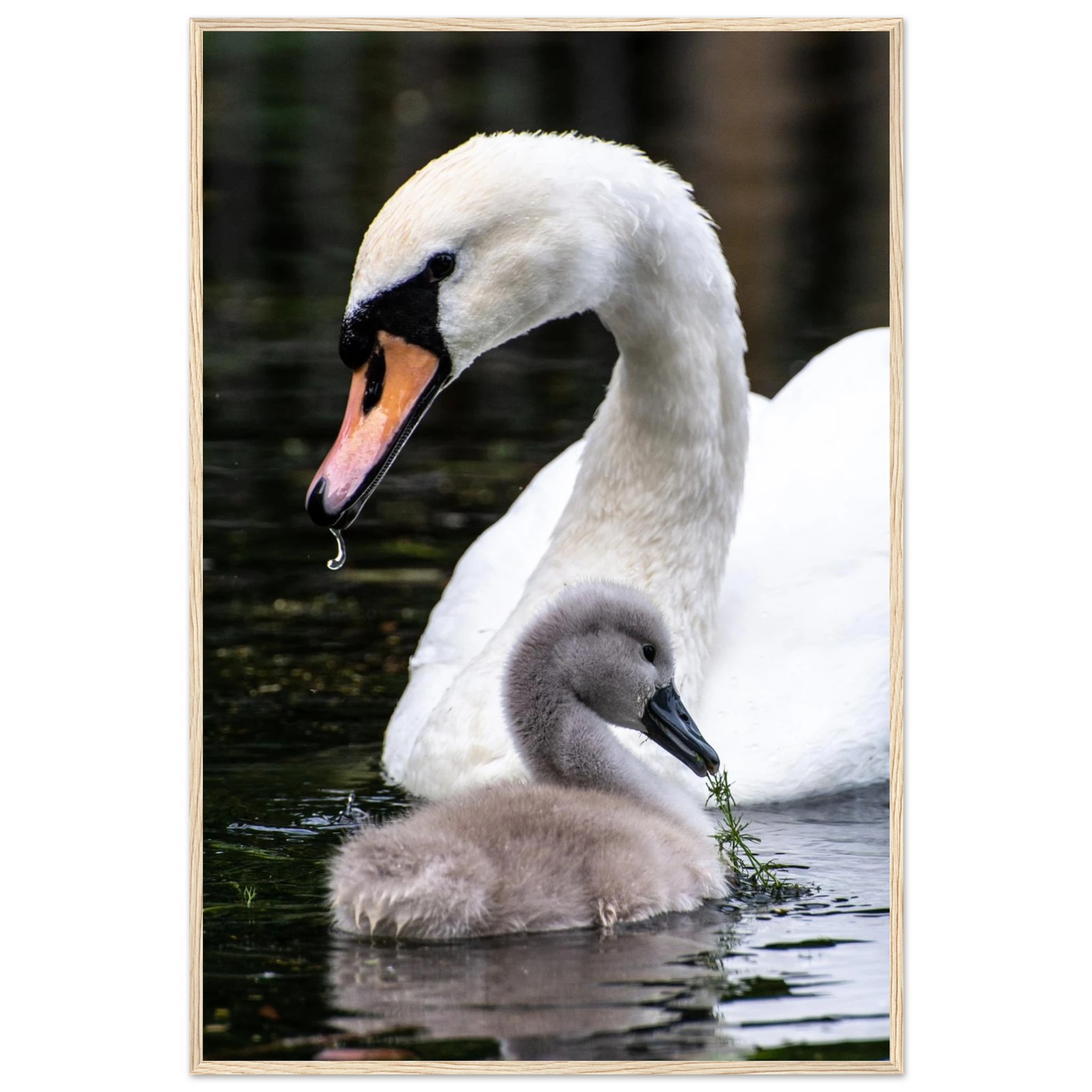 a2dc91f7-8283-479b-8702-3b2e03be6134