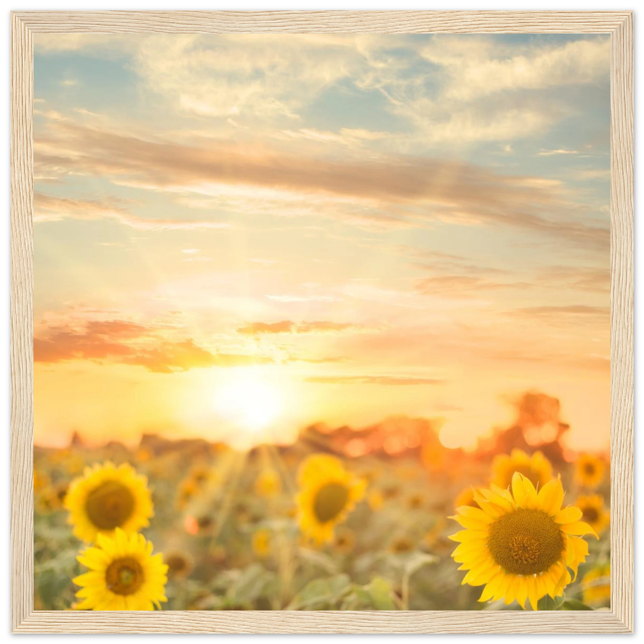 a2e041b7-f429-4dd4-add6-29912f1733c2